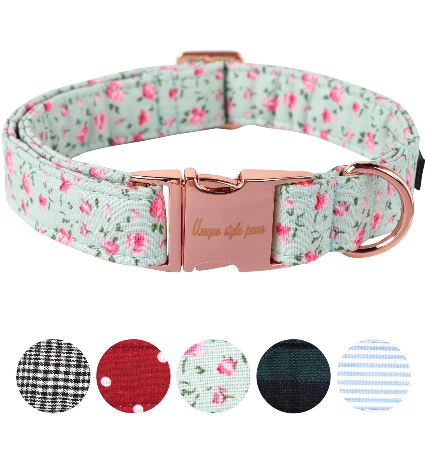 Unique Style Paws Adjustable Dog Collar & Leashes for Small to Large Dogs & Cats | International Shipping - Buy Online on GoSupps.com