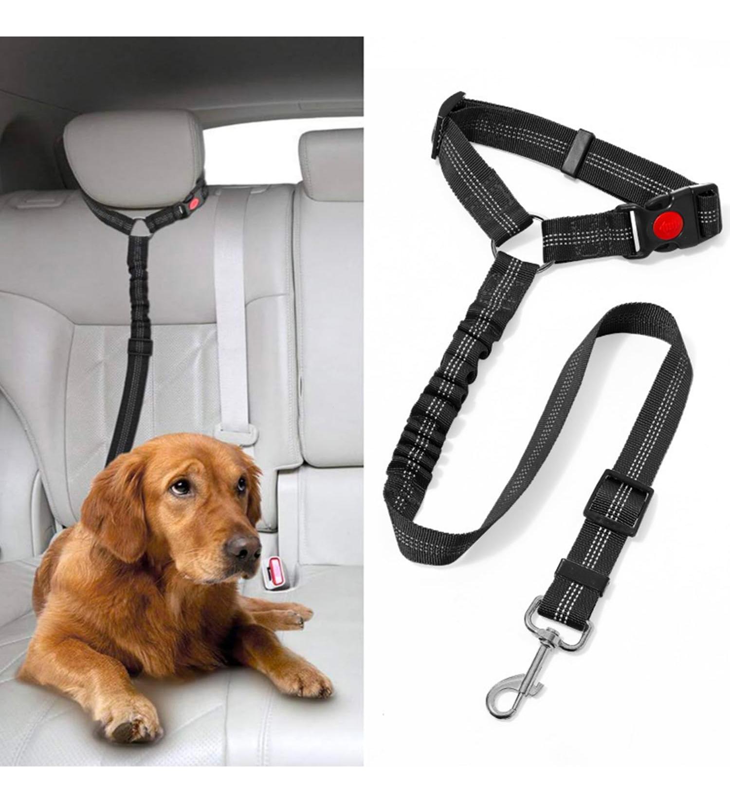 Dog Seat Belt Car Harness Seatbelt for Pet Cars Safety Lead Adjustable Clip Restraint Headrest Elastic Bungee No Tangle Leash for Small Medium Puppy in Vehicle Travel (Black) - Buy Online on GoSupps.com