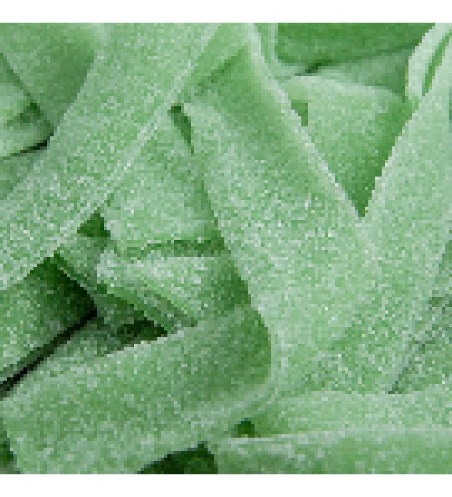 Apple Fizzy Belts 250 gram bag (1/4 kilo)