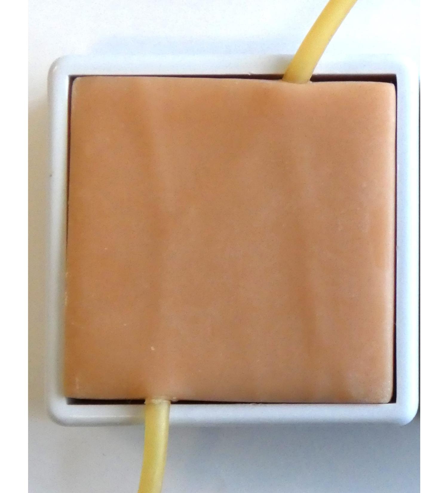 Intravenous Infusion Practicing Model IV Injection Practice Skin Pad Kit for Nursing & Medical Students (Arm)