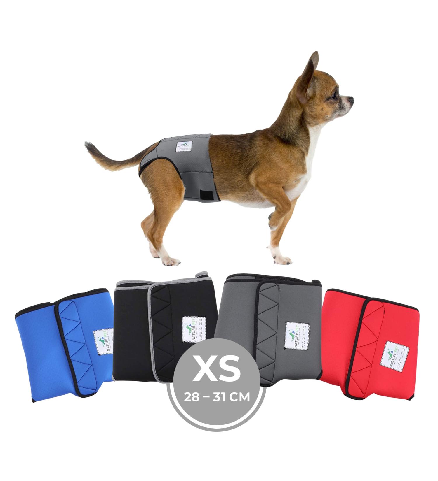 Sailing Trousers for Dogs 2.0 | High-Quality Neoprene Male Diapers - XS Gray - Optimal Air Exchange - Buy Online on GoSupps.com