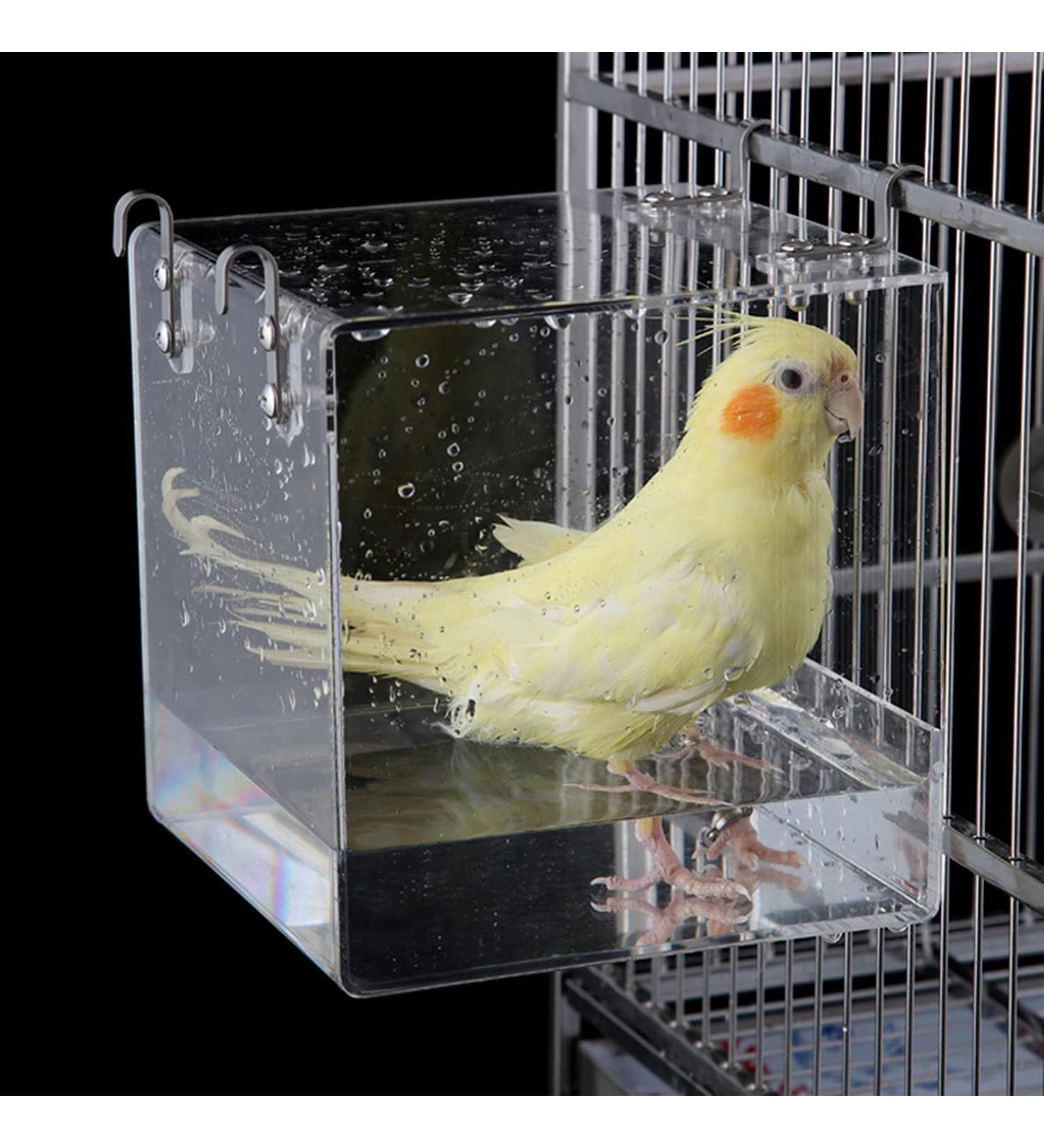 GURECOD Hanging Bird Bath Cube for Little Birds - Ideal for Canary, Budgerigar, Parrots, and More - Buy Online on GoSupps.com