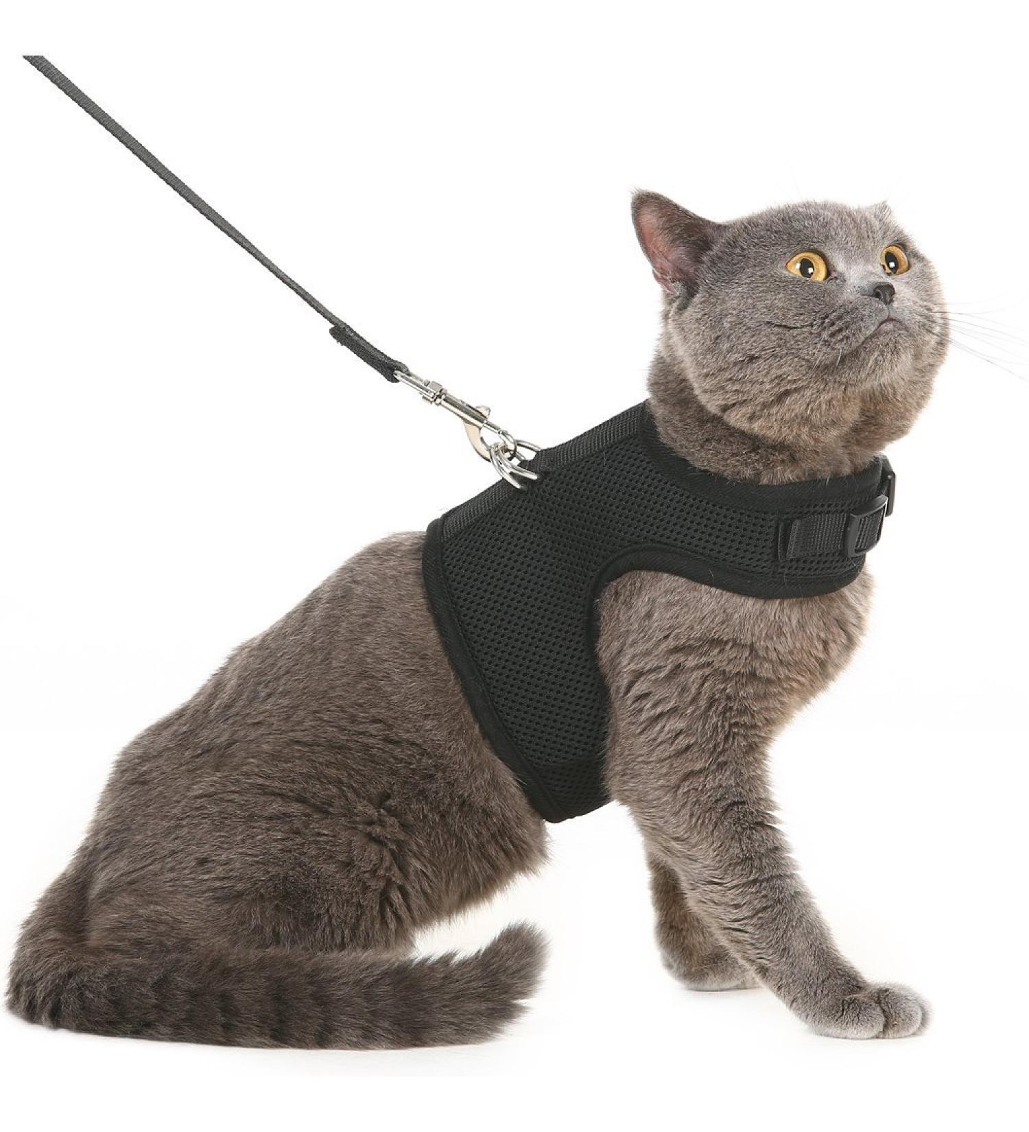 PUPTECK Soft Mesh Cat Vest Harness & Leash Set - Escape Proof for Cats, Small Dogs, Rabbits - X-Large, Black - Buy Online on GoSupps.com