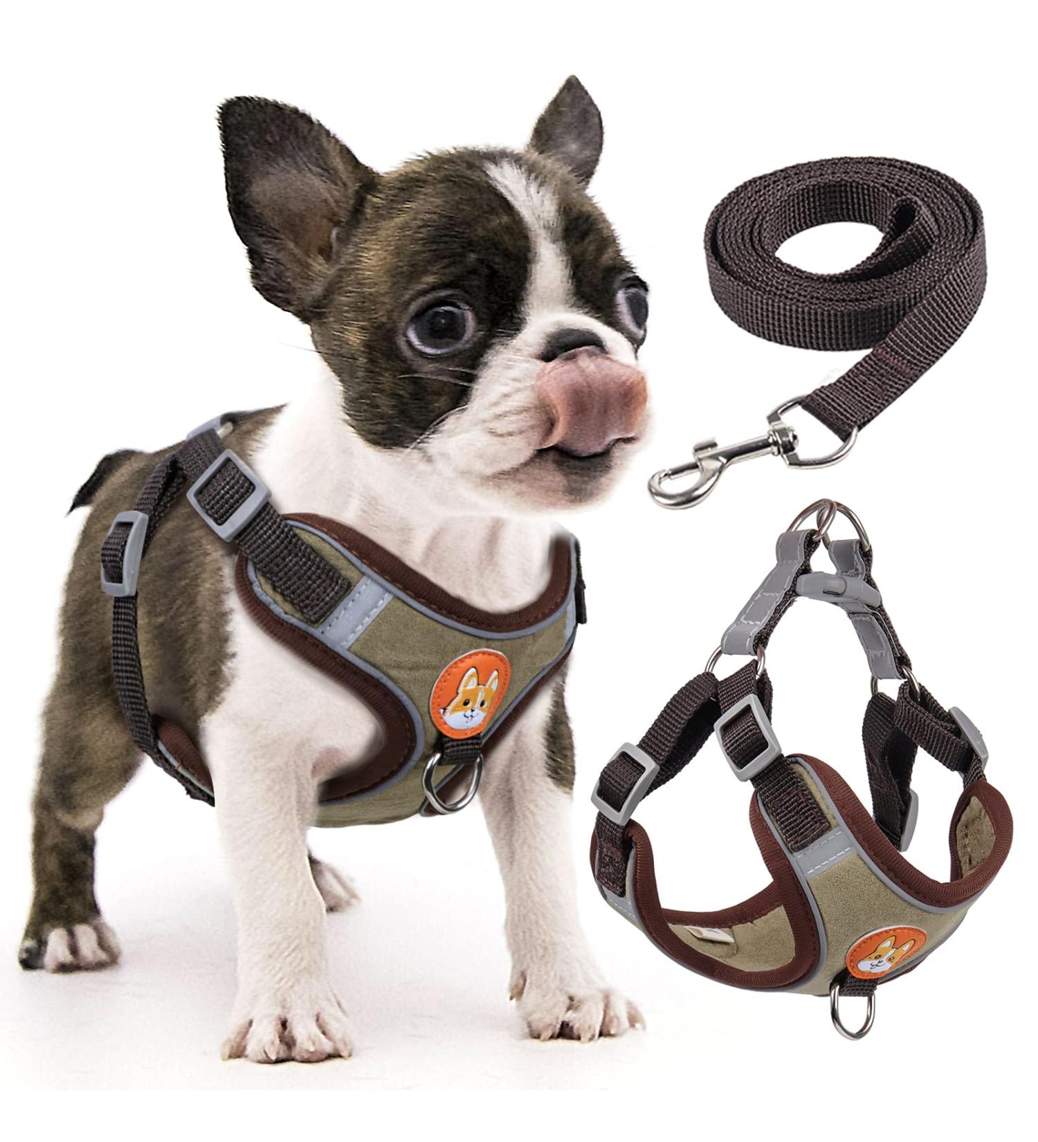 Rennaio No Pull Dog Harness & Leash Set - Adjustable Puppy Dishes with Clips | Ultra Comfortable for Small & Medium Dogs (Brown Size S) - Buy Online on GoSupps.com