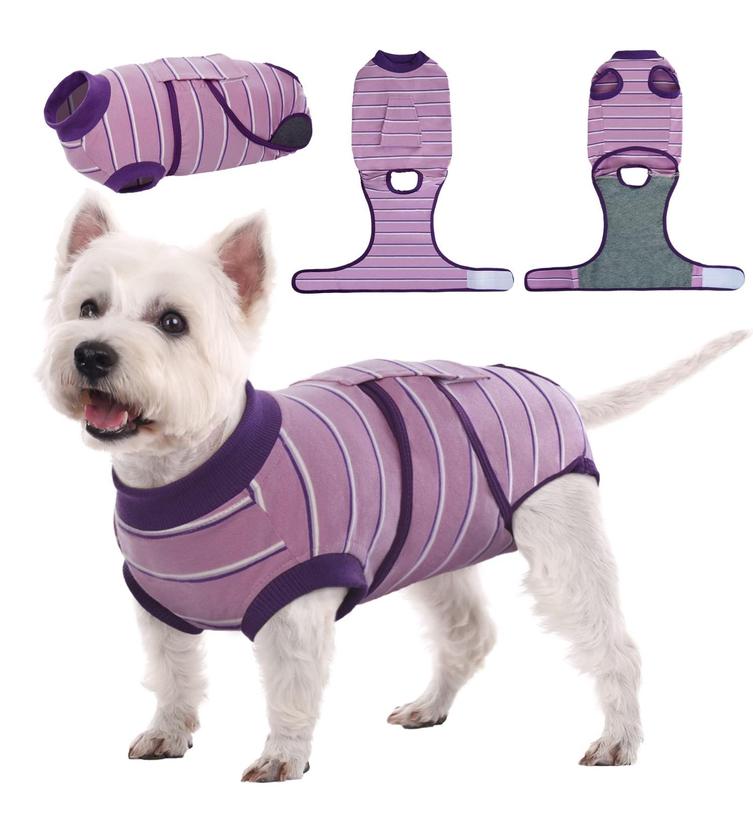 Kuoser Breathable Dog Recovery Suit | Post-Operative Body for Male & Female Dogs | Anti-Wound Protection & E-Collar Alternative | International Shipping Available - Buy Online on GoSupps.com