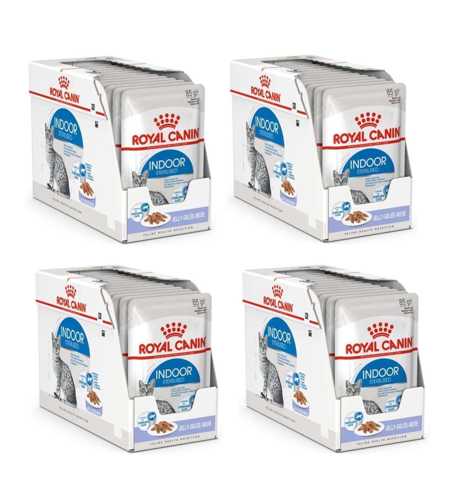 Royal Canin Indoor Sterilised Adult Wet Cat Food in Jelly 48 x 85g - Buy Online on GoSupps.com