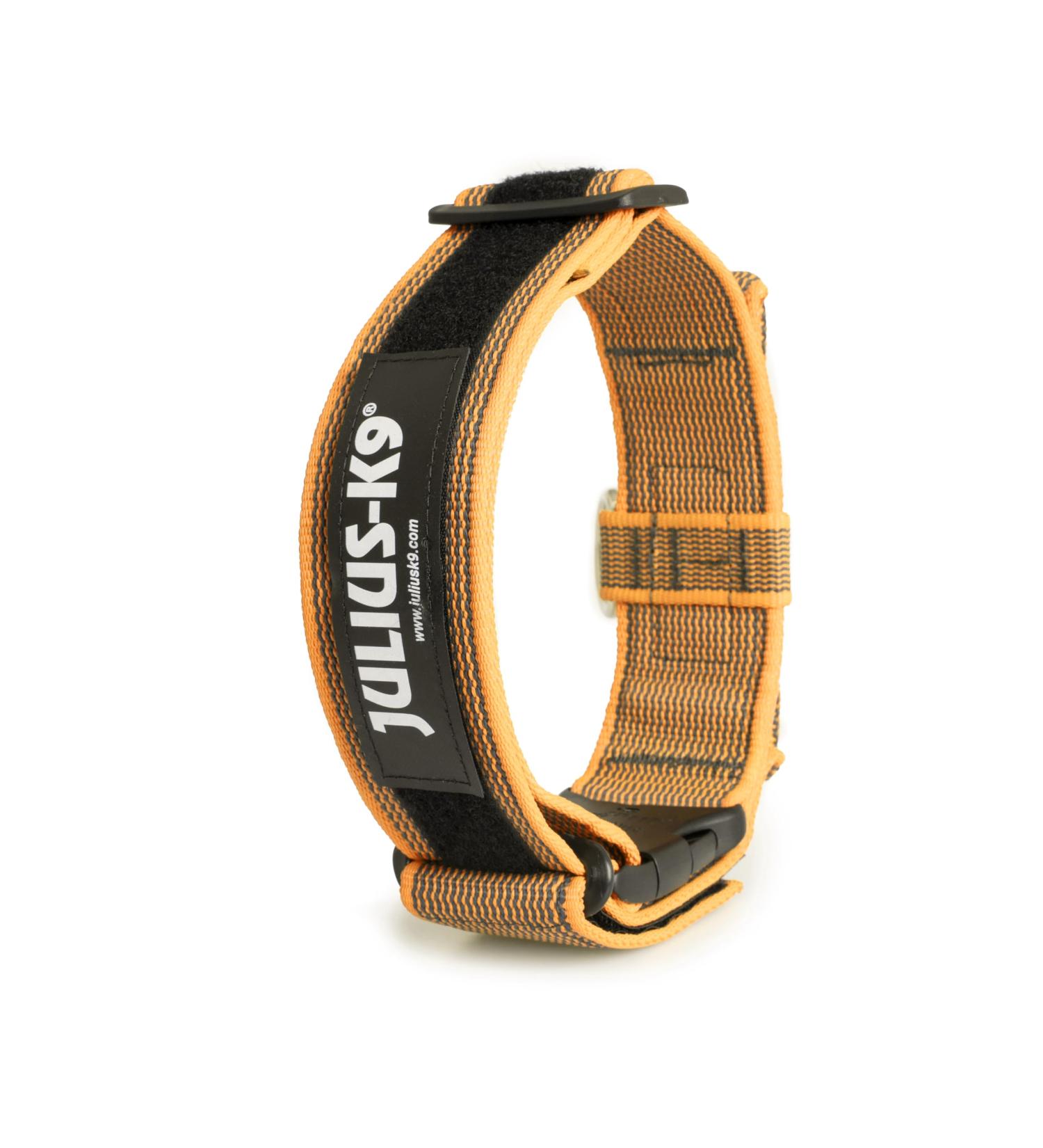 Shop Julius-K9 200HA-K-OR-2015 Color & Gray Dog Collar with Handle - 50mm (49-70cm) Orange Gray - International Shipping Available - Buy Online on GoSupps.com