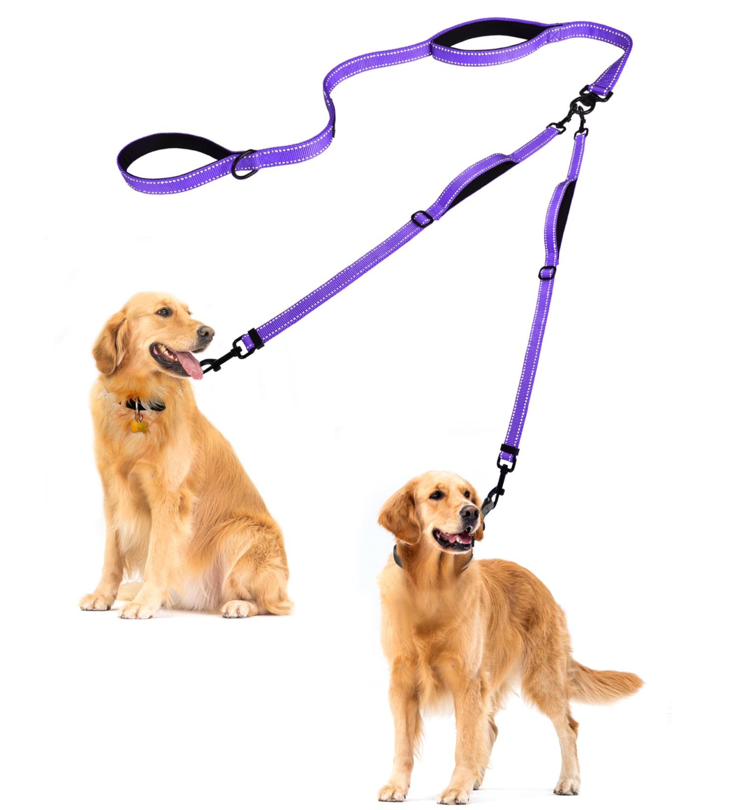 Petbonus Double Dog Leash for 2 Dogs - Adjustable Reflective & Padded Handles for Medium to Large Breeds - Purple - Buy Online on GoSupps.com