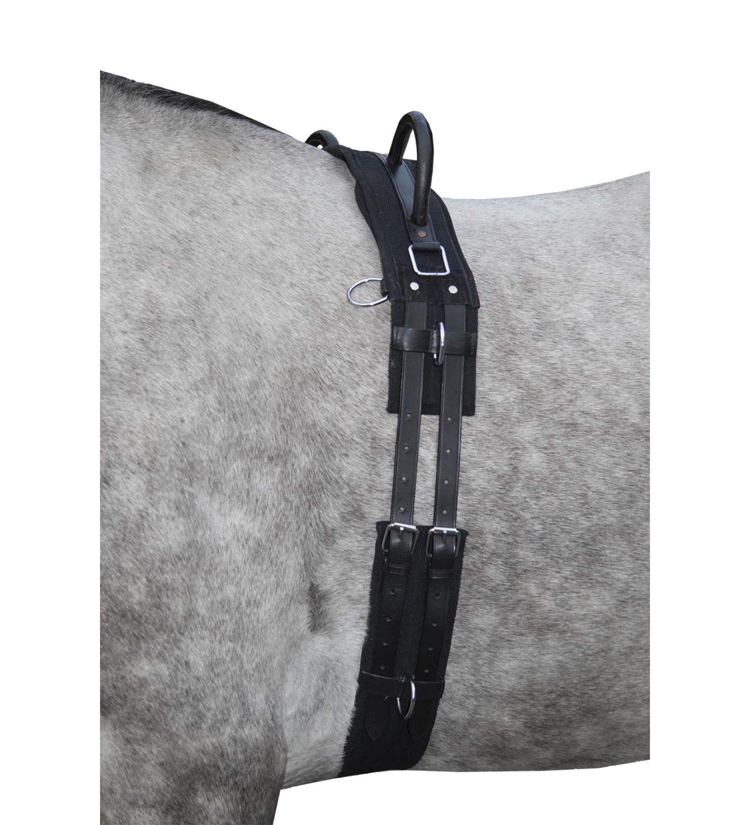 HKM Lunging Girth Canvas with Double Handle for Ponies - Durable Black Pony Gear - Buy Online on GoSupps.com