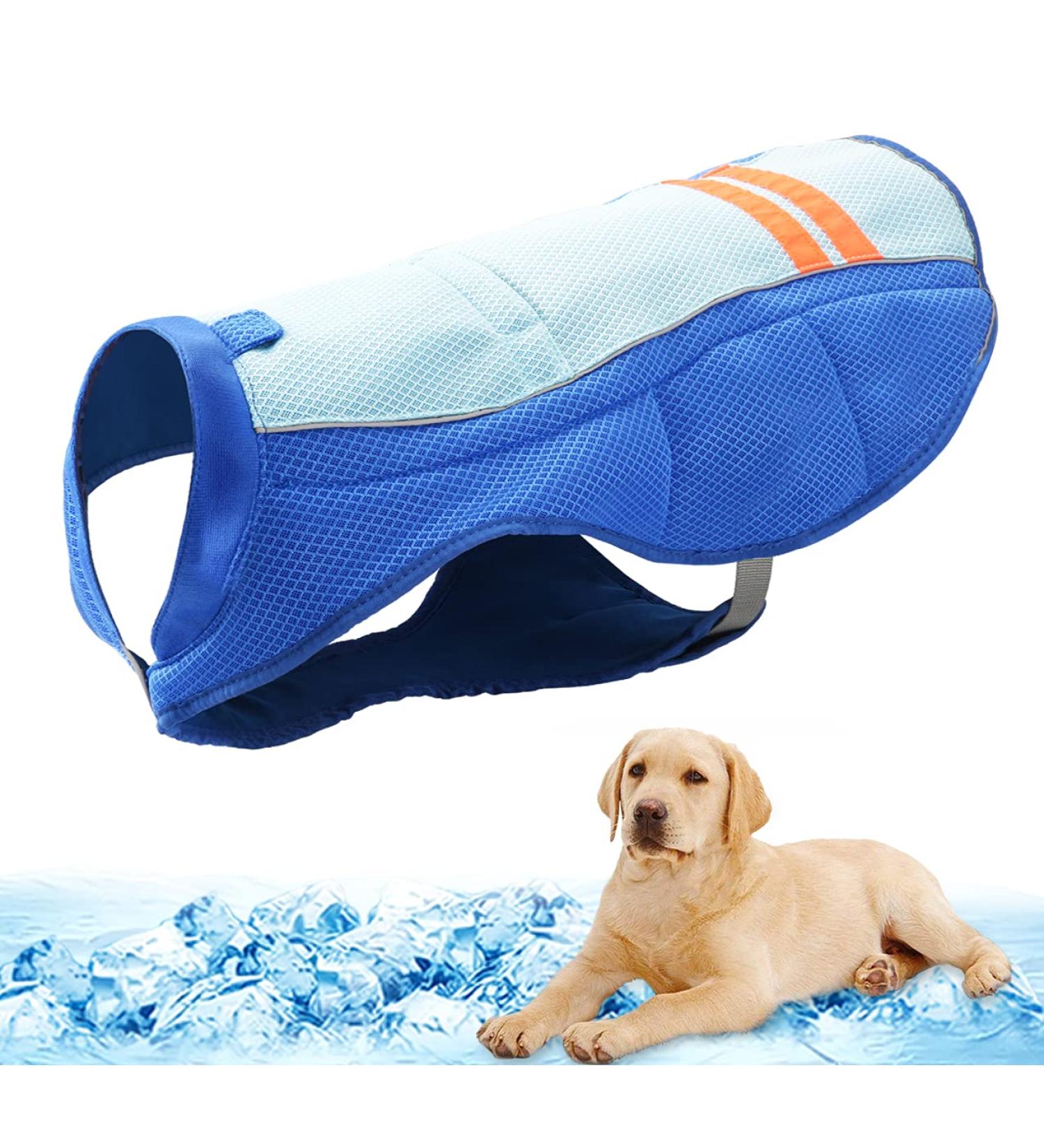 MOSUCOURL Dog Cooling Vest - Breathable Summer Coat for Dogs | Anti-Heat Evaporative Jacket for Outdoor Activities (Blue XS) - Buy Online on GoSupps.com