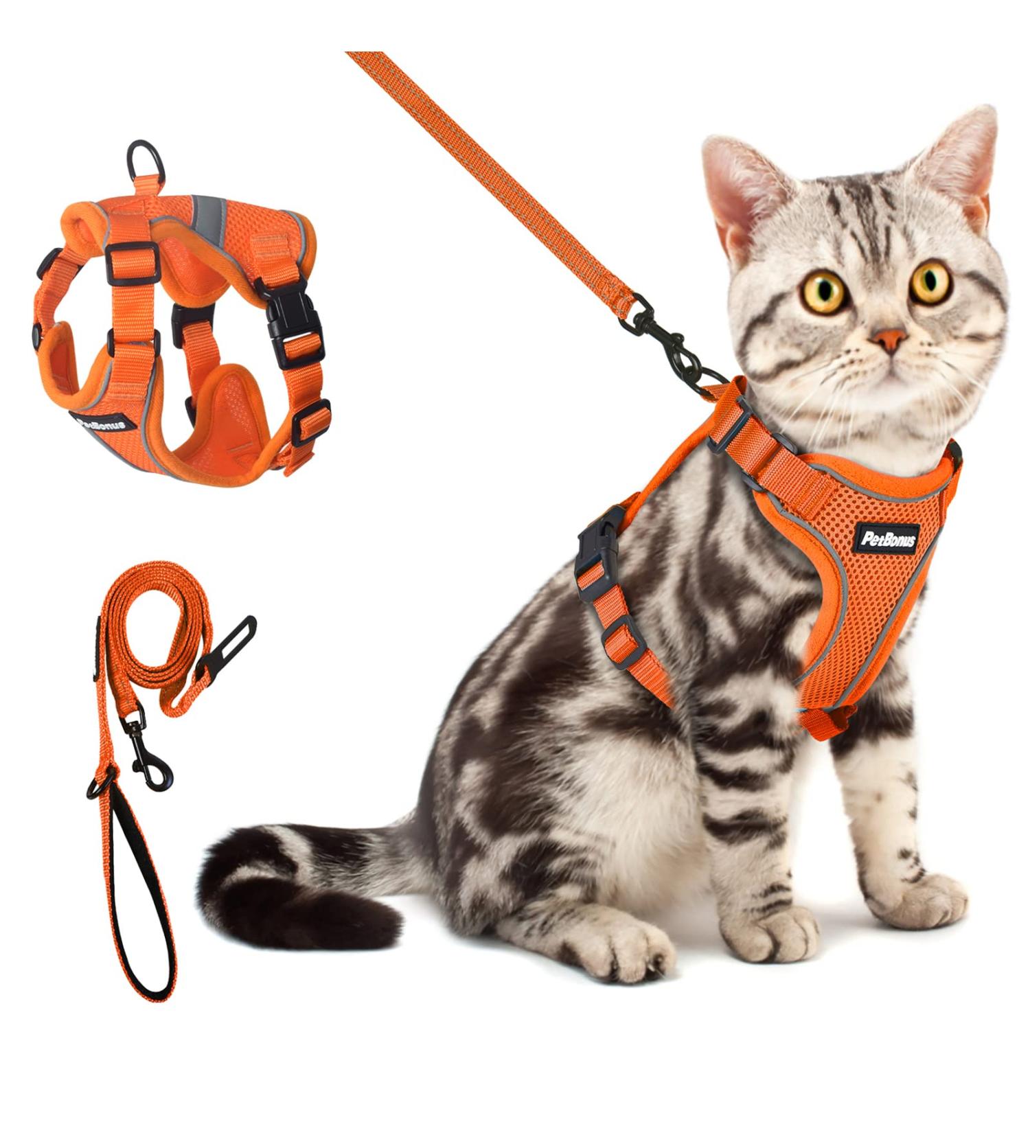 Petbonus Adjustable Cat Dishes & Harness Set - Breathable Soft Cat Bowls with Reflective Strips for Kittens - Small Size (Orange) - Buy Online on GoSupps.com