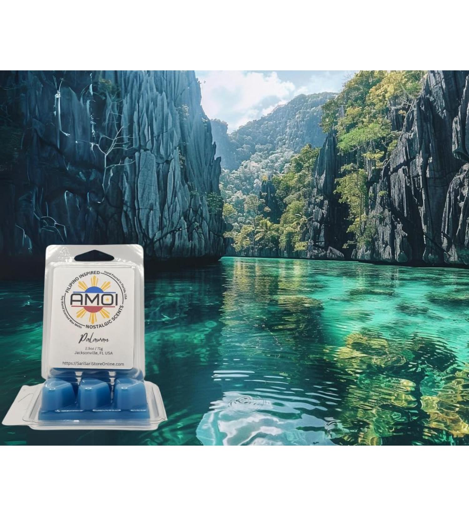 Filipino Palawan Scented Candle Wax Melts - Exotic Scents for Home Fragrance | International Shipping Available - Buy Online on GoSupps.com