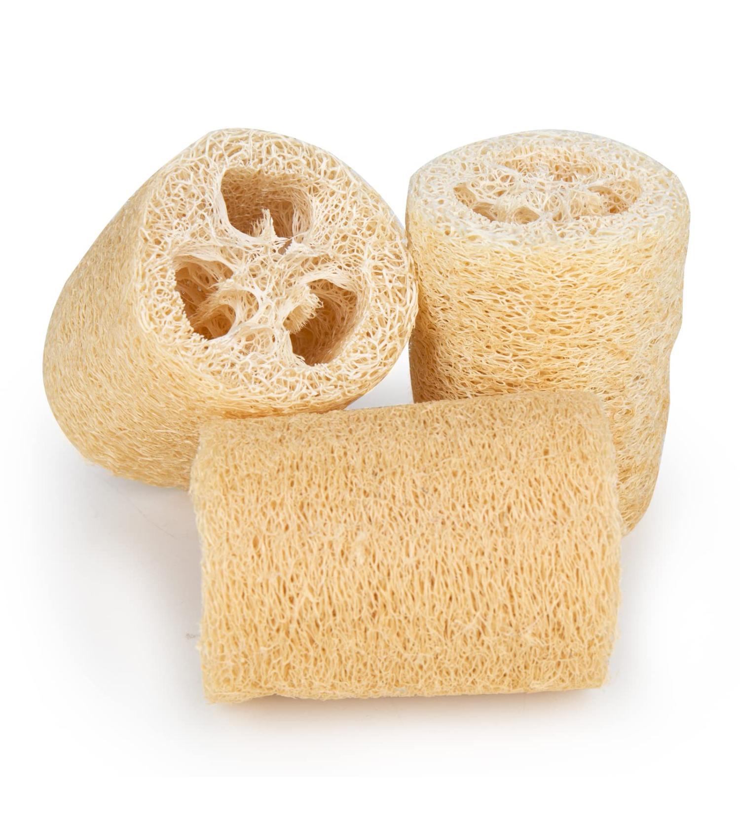 Organic Natural Loofah Body Scrubber for Radiant Skin - Exfoliating Beauty Bath Sponge (Primary Color) - Buy Online on GoSupps.com