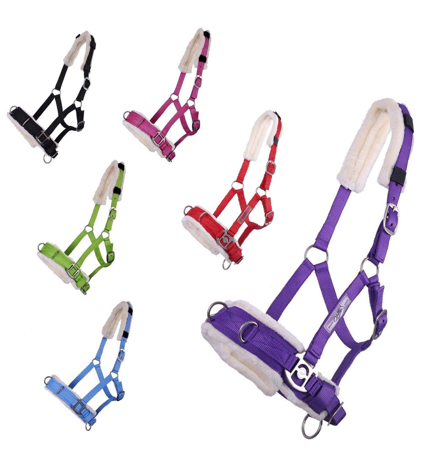 netproshop Cavesson Lunging Aid for Groundwork Shetty Pony Cob Full Size:Shetty Color:Red Shetty Red