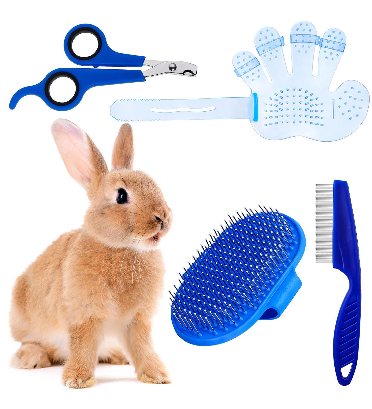Bunny Grooming Kit: Rabbit Brush, Hair Remover, Nail Clipper, Comb & Bath Brush in Blue - Buy Online on GoSupps.com