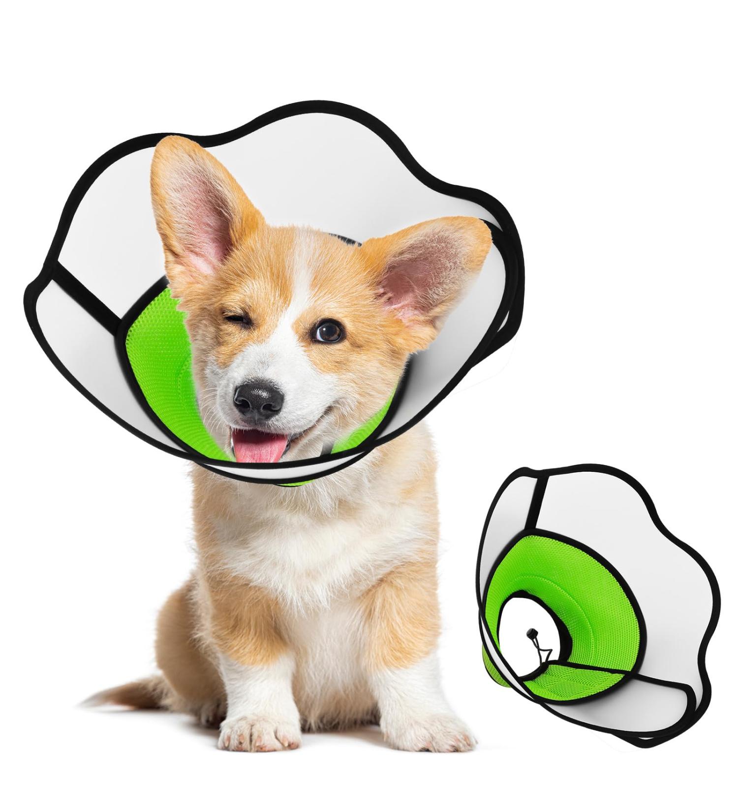 ZEEJORY Adjustable Cat & Dog Cone Collar for Fast Healing - M(28-37cm/11-14.5in) - Buy Online on GoSupps.com