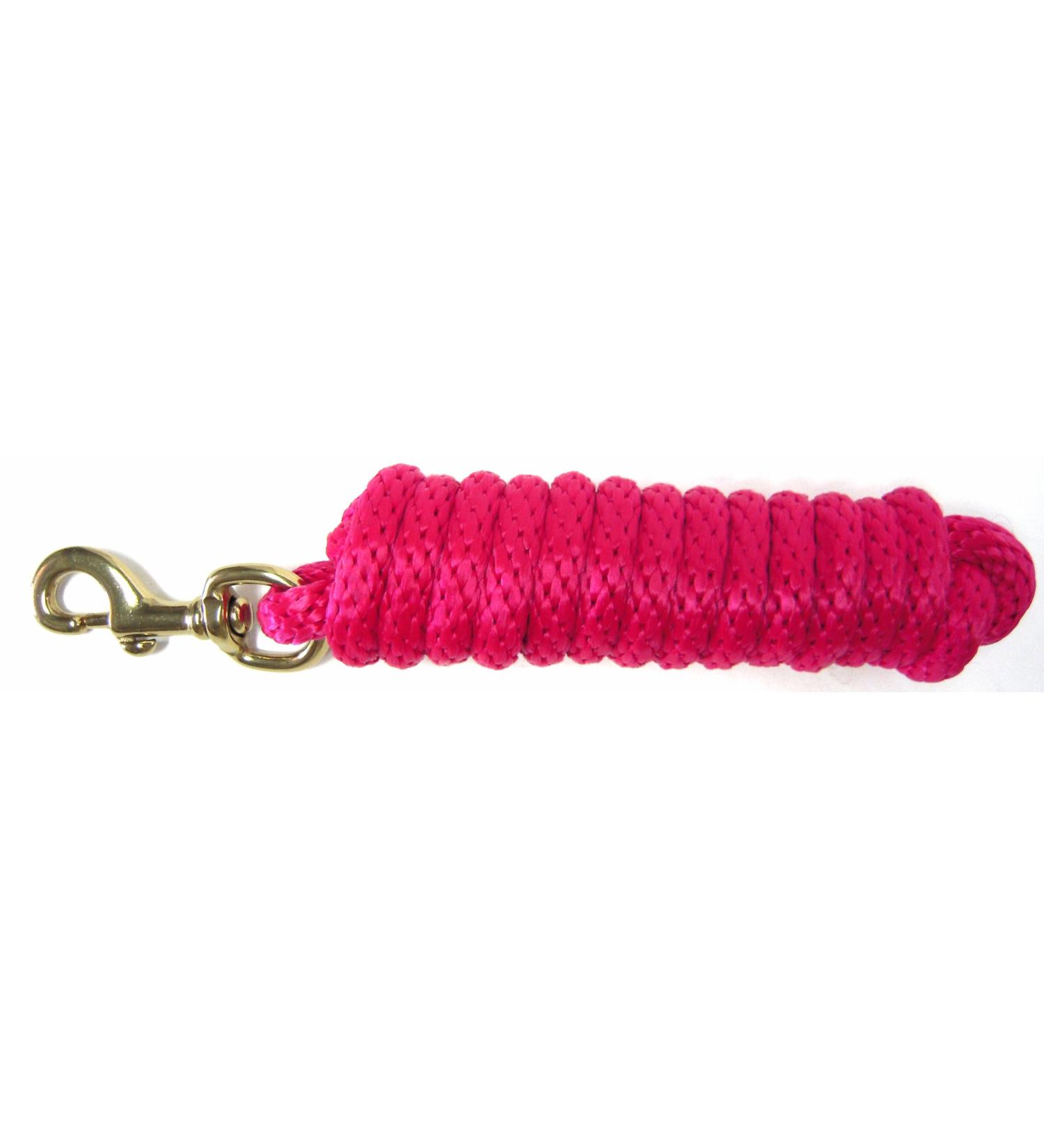 Hamilton Poly Leash with Snap Hook Raspberry