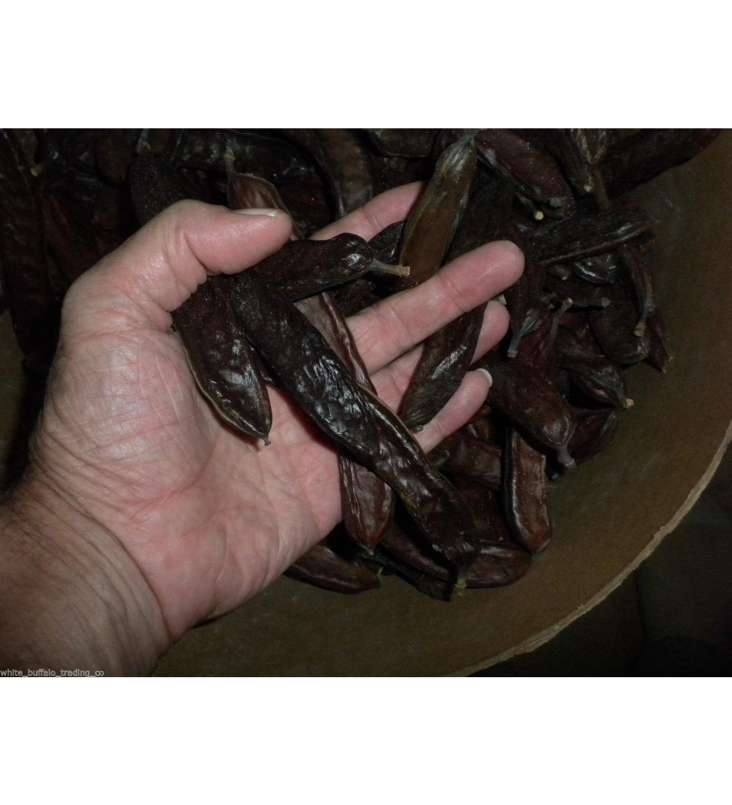 PLAT Firm SEMI DI GERMINAZIONE: 4 Unzen: caroube et baccelli Samen Ganz gearbeiteten Sauvage St. Johns Brot Roh Schokoladengeschmack - Buy Online on GoSupps.com