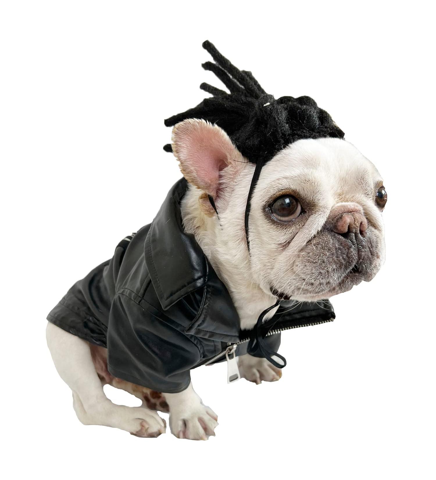 Funny Dog & Cat Role Play Wigs | Halloween Christmas & Party Costumes for All Pet Sizes - Buy Online on GoSupps.com