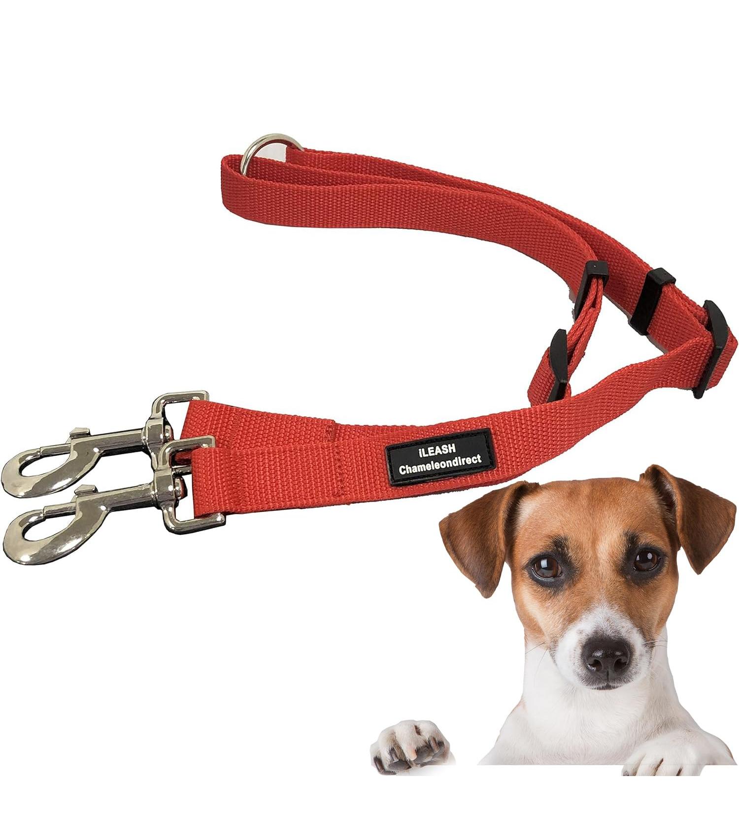 2 Way Lead Splitter Adjustable 43-69cm Dog Leash Heavy Duty Coupler with Metal Clips Easy Use Pet Walking Lead Splitter Durable Strong Fabric (Red) - Buy Online on GoSupps.com