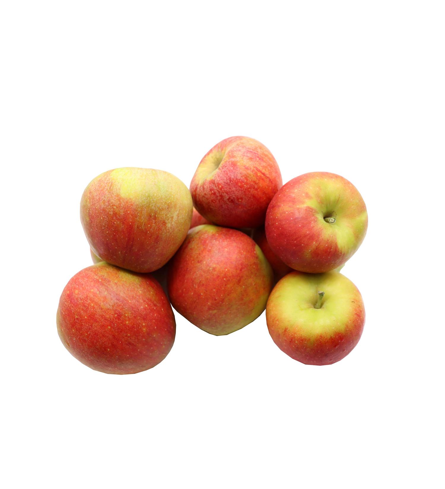  Bleichhof Bleichhof Pilot Apples - Palatinate Solid Acid Variety (10 kg) New Harvest - Buy Online on GoSupps.com