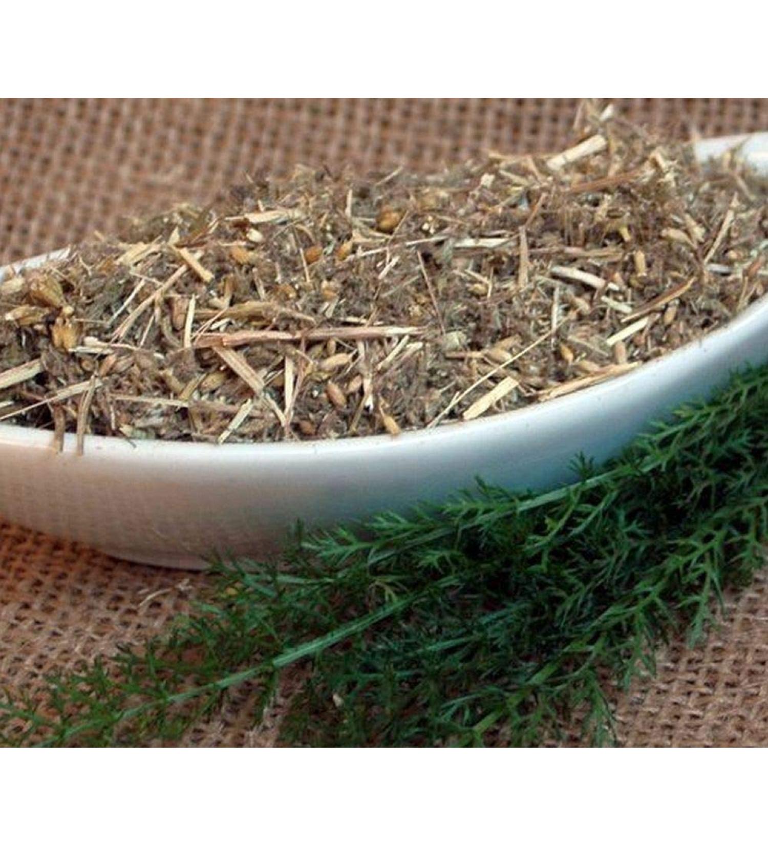 Krauterino24 Krauterino24 - Sheep Verbena Cup - Sheep Tea (250 g)