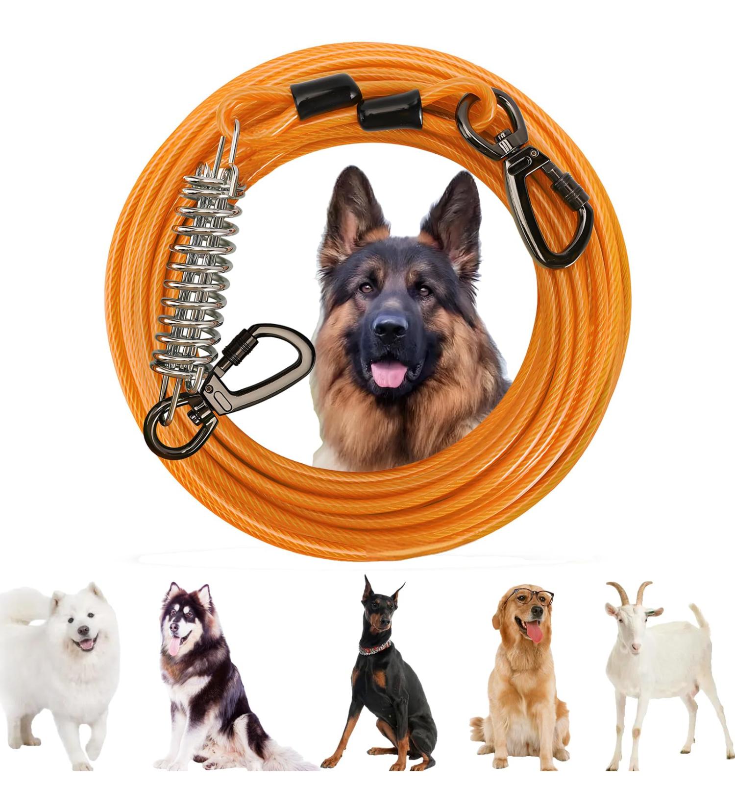 Tie Out Cable for Dogs 50ft Dog Leash for Large Dogs Long Dog Leash 1007 lbs Dog Leads for Yard Chew Proof Heavy Duty Dog Tie Out Cable for Large Dogs Durable Dog Runner Tether Line for Outdoor Orange - Buy Online on GoSupps.com
