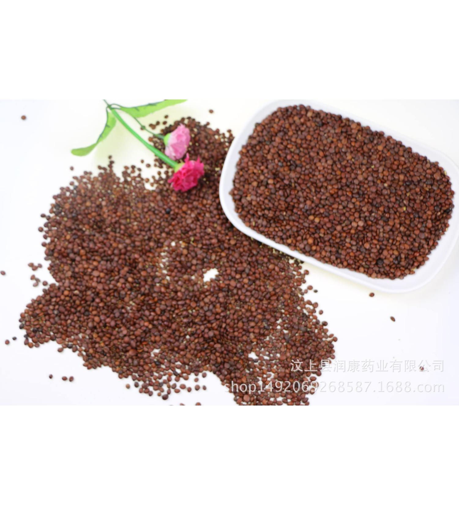 Raw Suan Zao Ren / Semen ZIZIPHI SPINOSAE. / Ziziphi Spinosae Semen (4 oz)