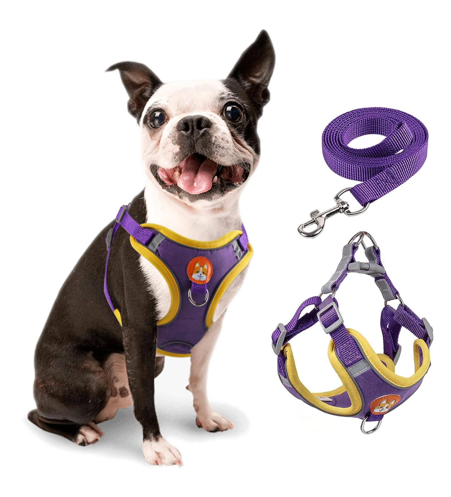 Rennaio No Pull Dog Harness & Leash Set | Adjustable Chest Harness & Puppy Dishes for Small/Medium Dogs - Ultra Comfortable (Purple M) - Buy Online on GoSupps.com