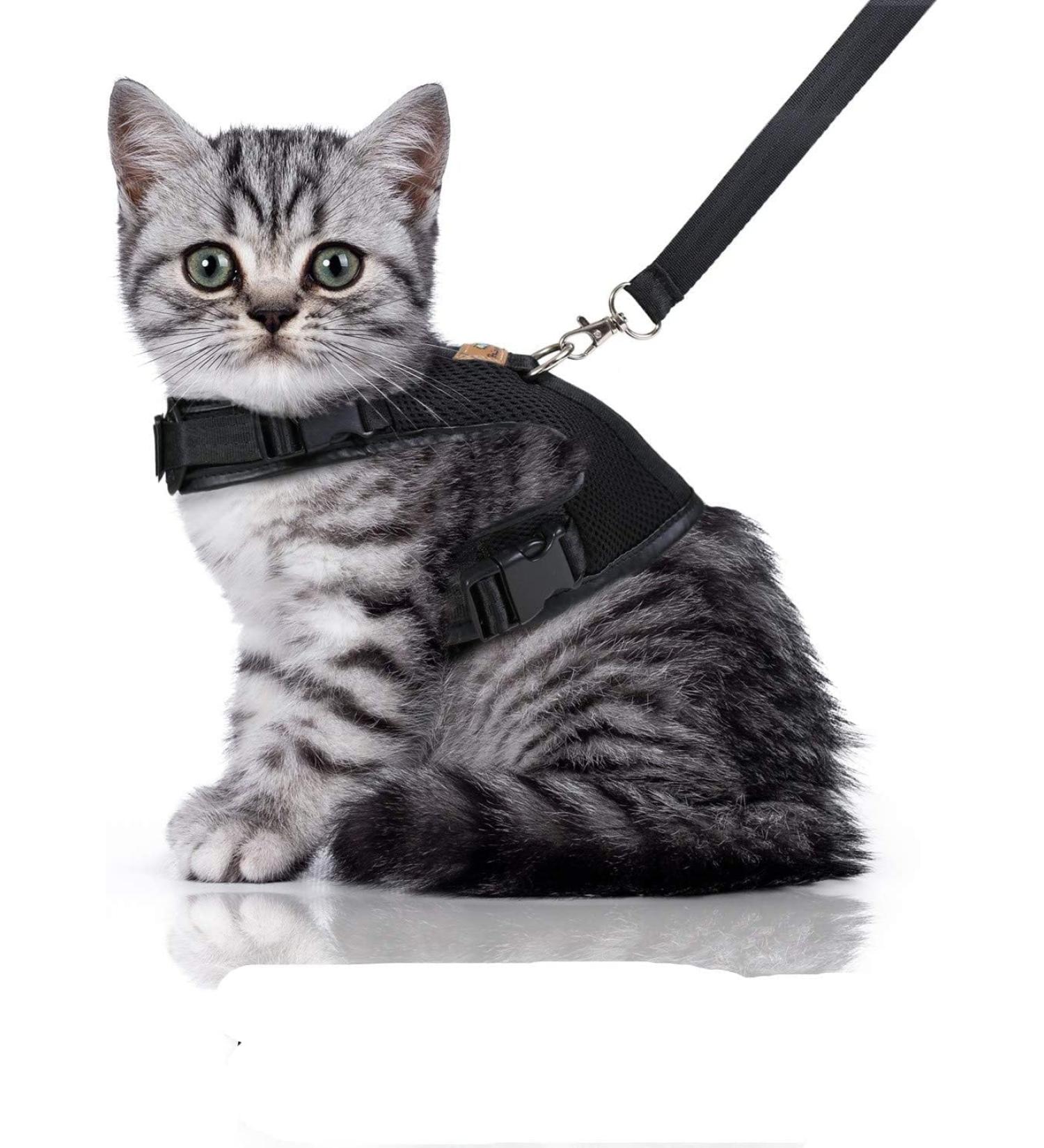 Bella & Balu Cat Harry - Durable Breast Dish with Leash Soft Lining & Breathable Mesh for Comfortable Walking (Small Black) - International Shipping Available - Buy Online on GoSupps.com