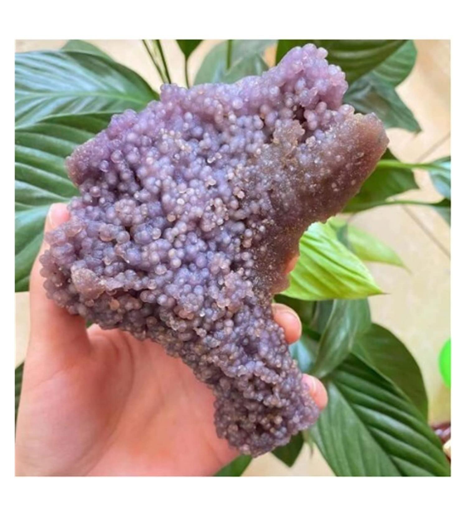Natural Grape Agate Crystal Mineral Specimen Home Decor Ornaments (Size : 100-110g) - Buy Online on GoSupps.com