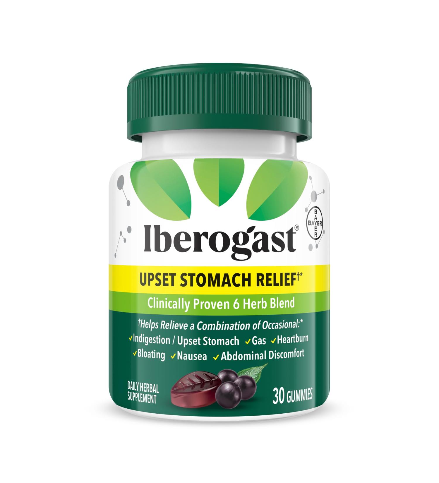 Iberogast Gummies Upset Stomach Relief: Helps Relieve a Combination of Occasional Indigestion/Upset Stomach Gas Heartburn Bloating Nausea and Abdominal Discomfort Natural Elderberry Flavor 30ct - Buy Online on GoSupps.com