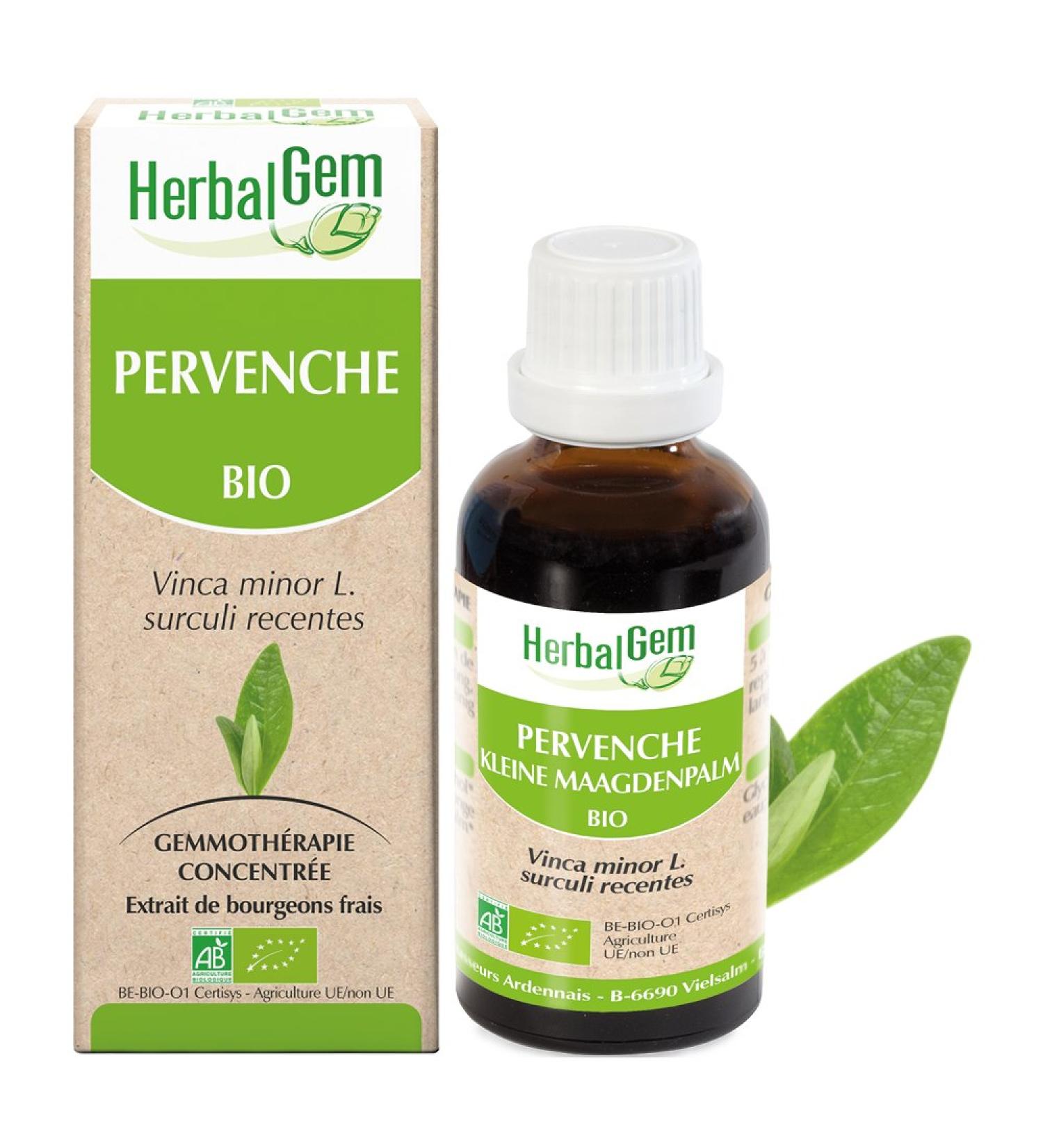 Herbalgm Macerate Organic Periwinkle Concentrated Gemmotherapy Dietary Supplement - Fresh Bud Extract - For Memory & Concentr - Buy Online on GoSupps.com