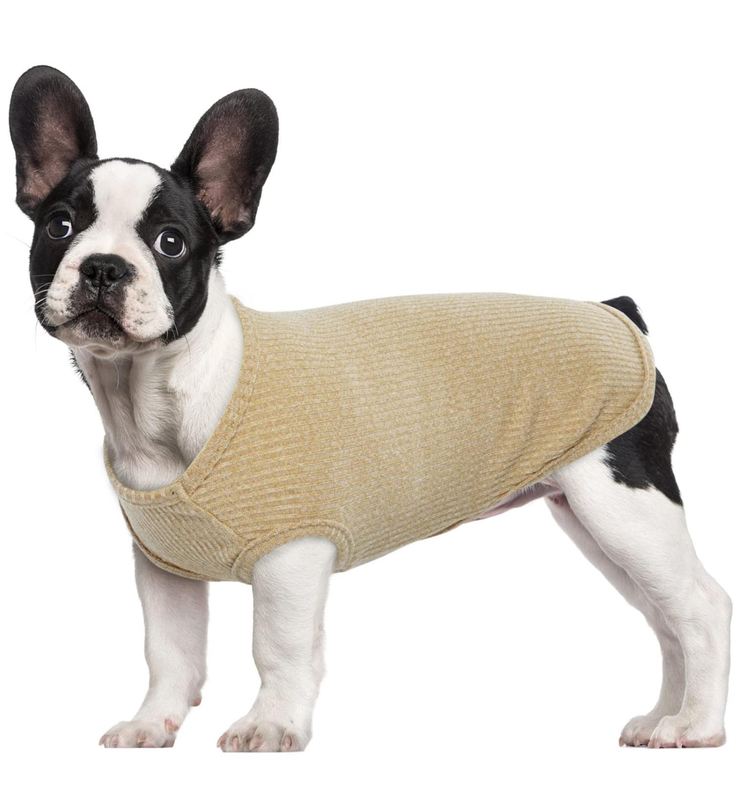 Hjumarayan Dog Sweater for Small Dogs | Thin Washable Elastic Striped Shirt for Chihuahua & Yorkshire Terrier (Yellow S) - Buy Online on GoSupps.com
