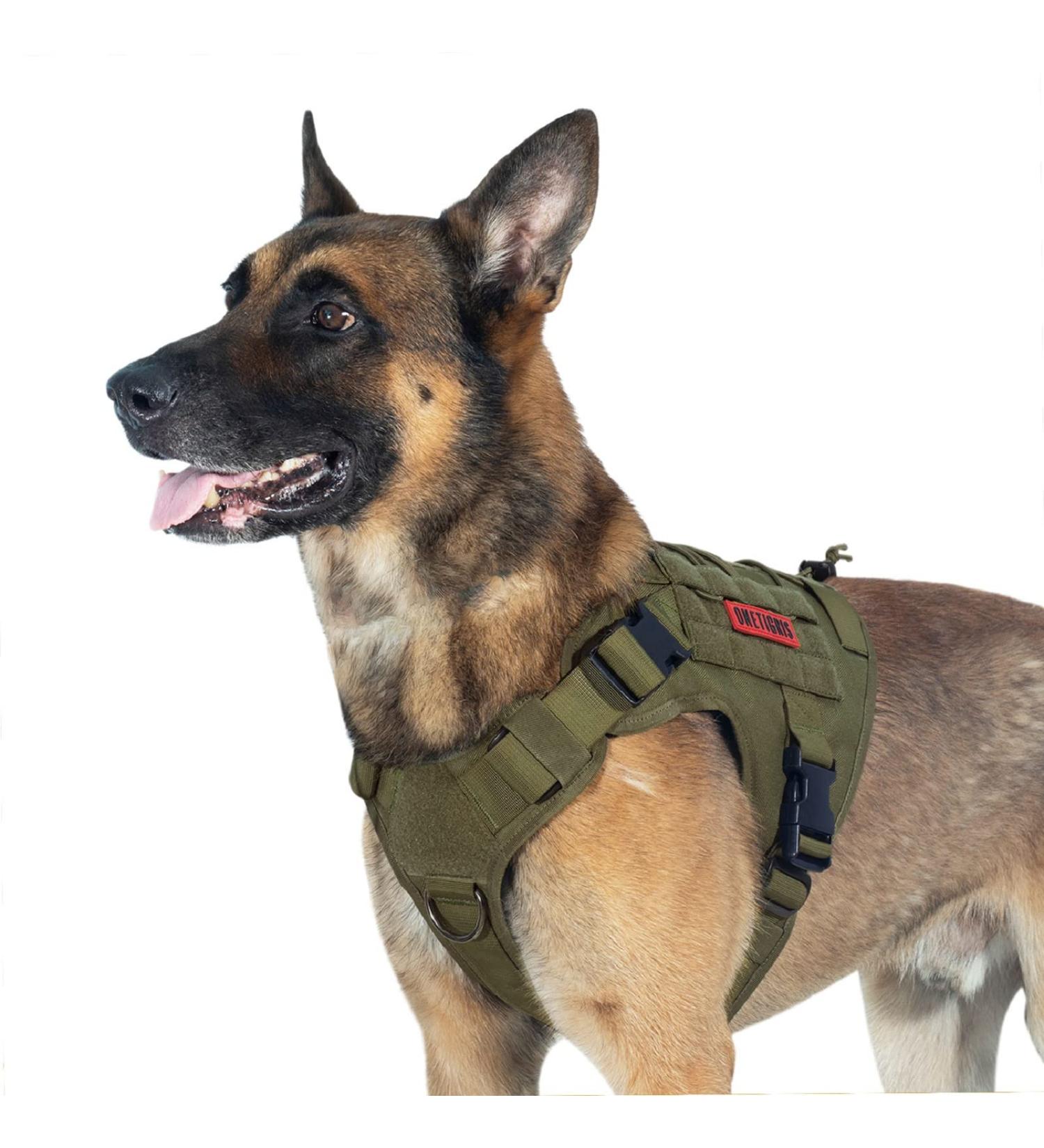 Oneigris Tactical Dog Harness - Fire Watcher Molle Vest for Training & Service - Durable 1000D Nylon (Small Ranger Green) - Buy Online on GoSupps.com