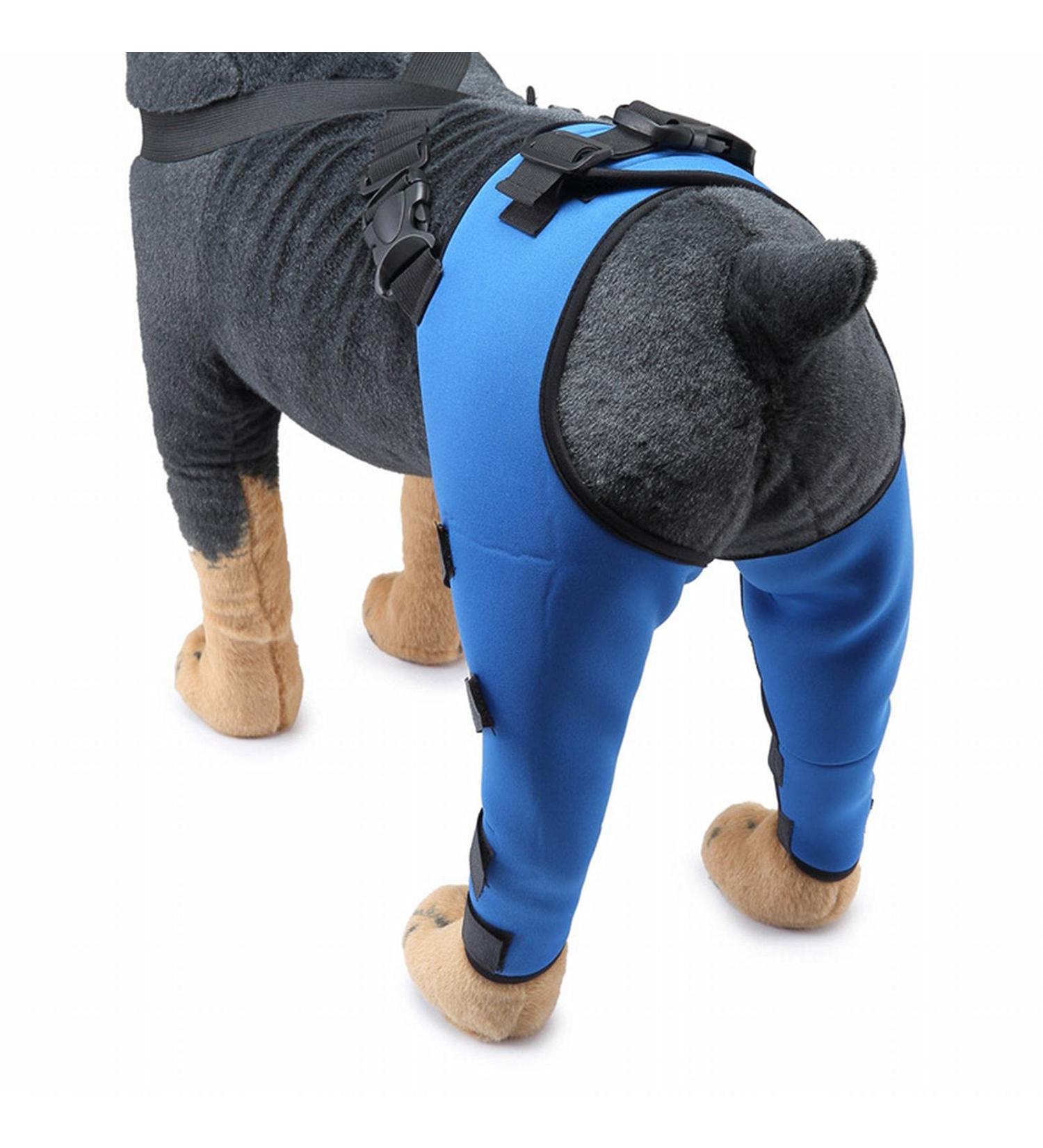 Dog Rear Hind Leg Joint Brace Pet Dog Double Hind Leg Brace Support Belt for Heals Prevents Injuries Sprains Protects Wounds. A Small - Buy Online on GoSupps.com