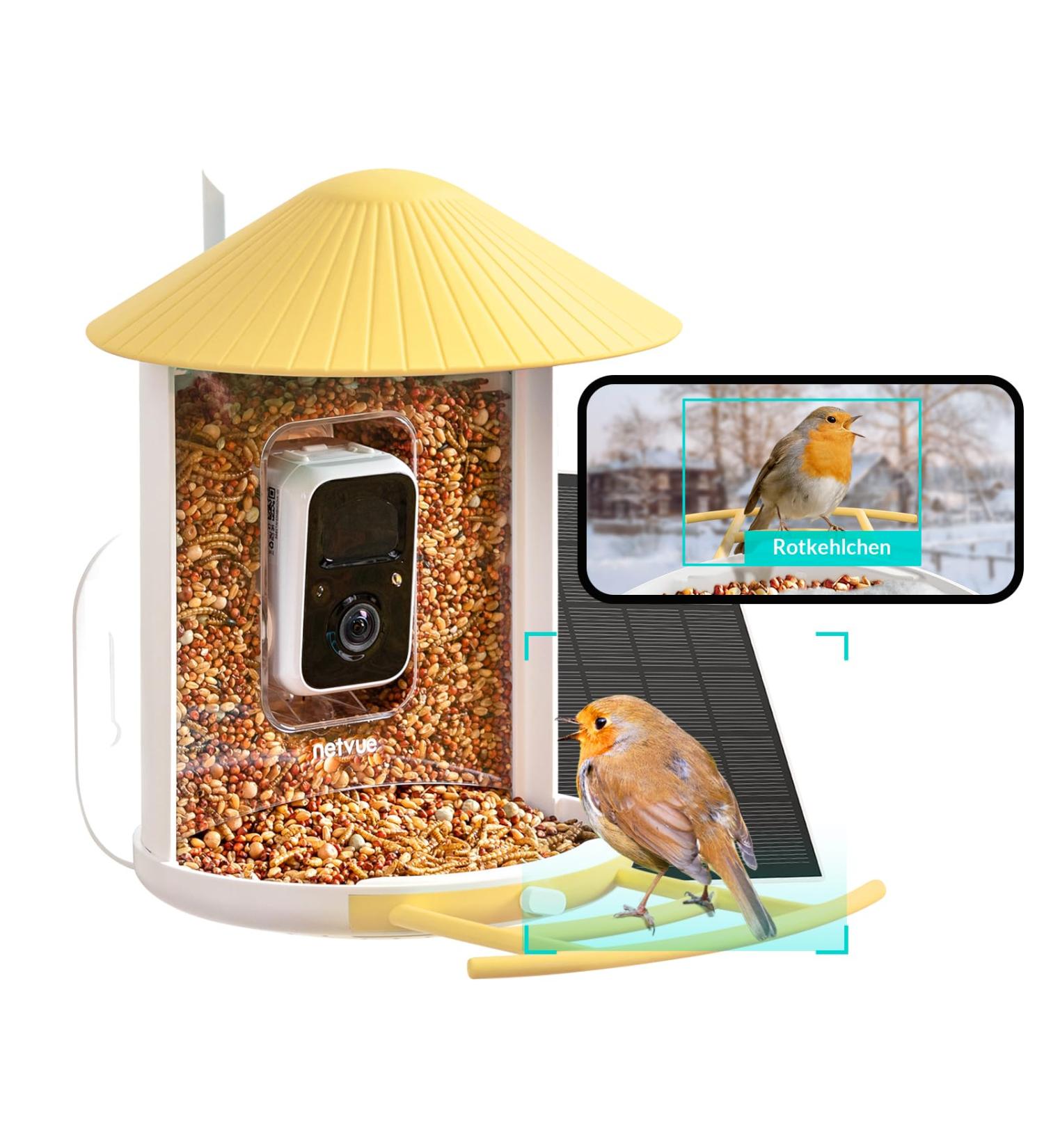 Netvue Birdfy Solar Bird Feeder with Camera & AI Recognition | Eco-Friendly Smart Bird House for Automatic Video Recording - Buy Online on GoSupps.com