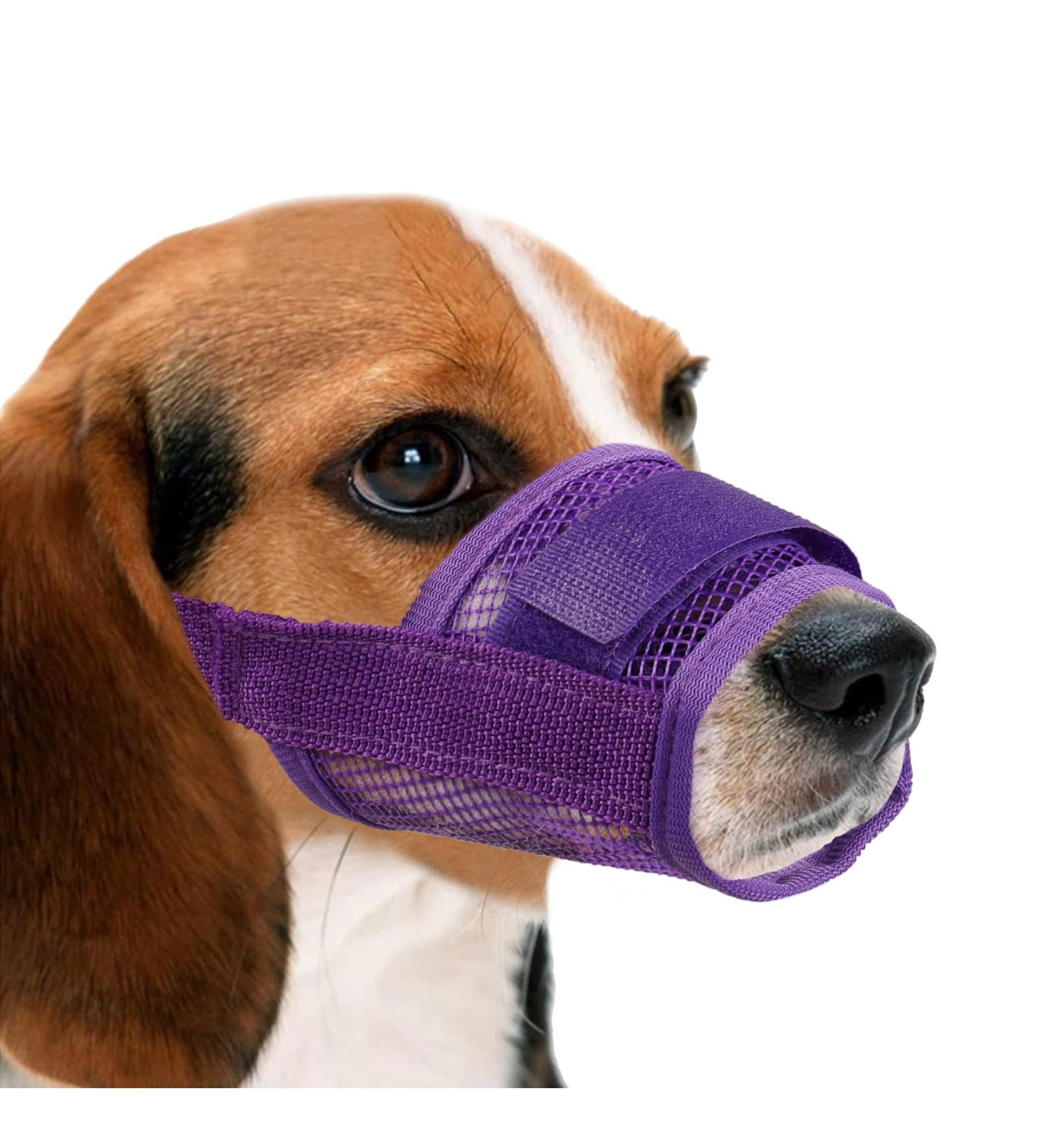 Yaodhaod XXL Violet Dog Muzzle - Breathable Nylon-Mesh Comfortable & Adjustable for Biting Chewing & Barking - Buy Online on GoSupps.com