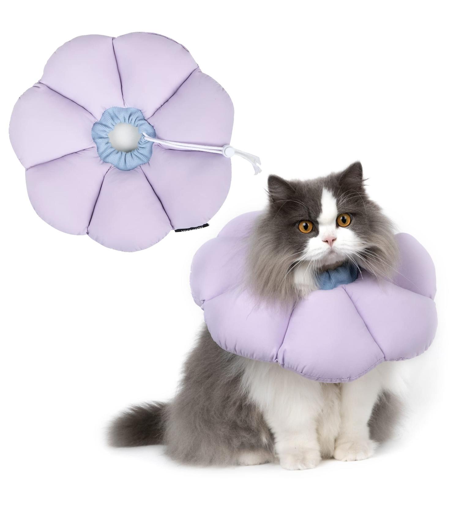 HiDREAM Cat Cone Collar | Cute & Waterproof Elizabethan E-Collar for Cats | Anti-Bite & Lick Wound Healing Collar | Safety Cat Recovery Collar | Medium - Purple - Buy Online on GoSupps.com