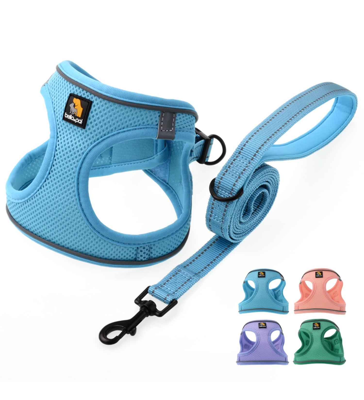 Shop Bella & Pal Dog Harness for Small Dogs | Step-In Air Mesh Reflective & Breathable Design with Leash - Sky Blue (L: 42-50cm) - Buy Online on GoSupps.com