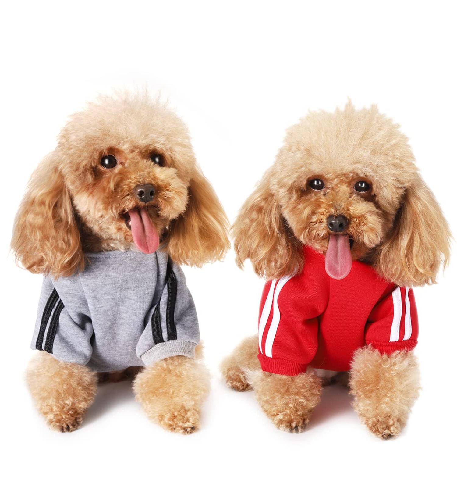 Shop Cute Dog Sweater for Small Dogs | Warm Cotton Hoodie for Pets - XS Grey & Red - Buy Online on GoSupps.com