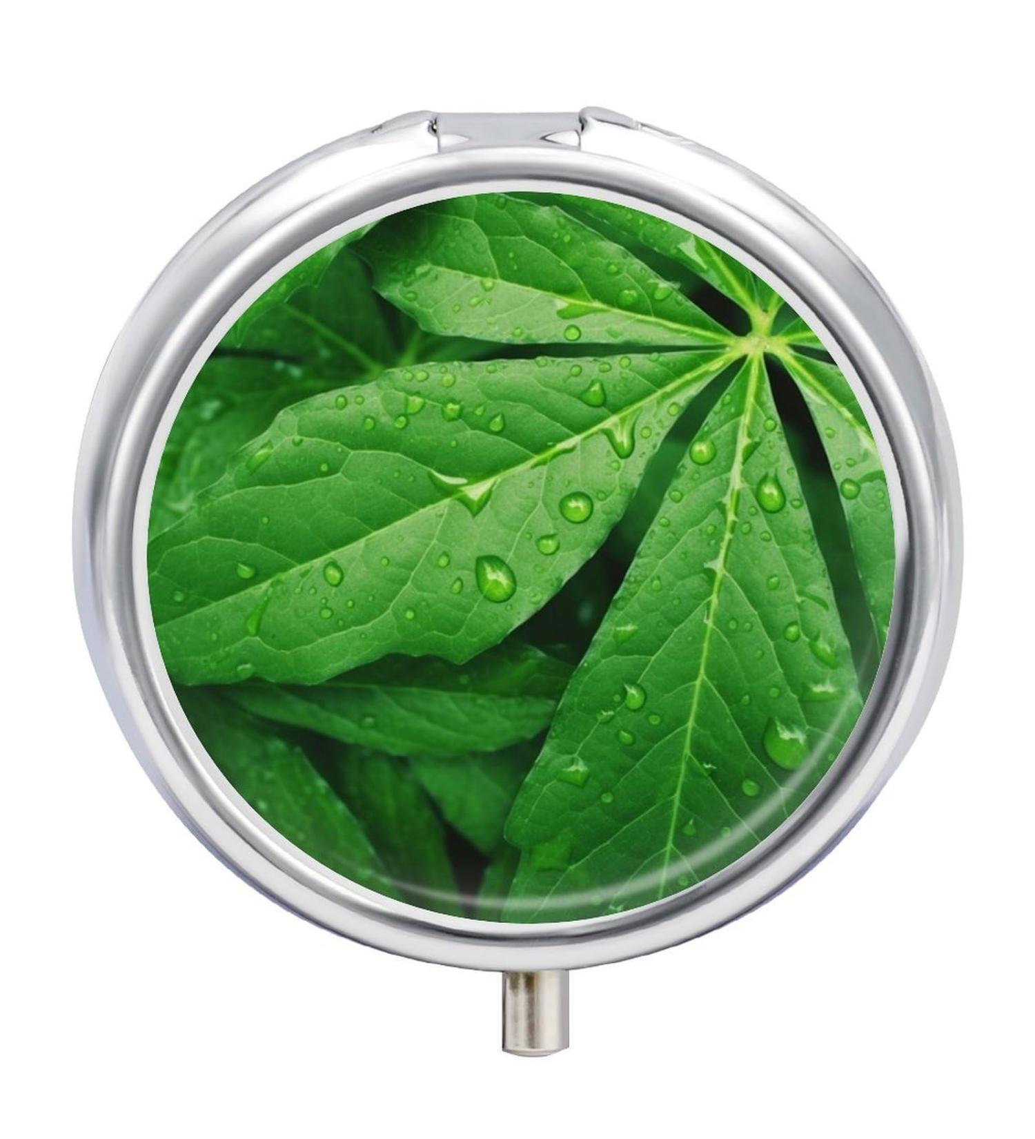 Buy Travel Pill Box with 3 Compartments - Green Leaves Portable Pill Organizer for Purse & Pocket - Buy Online on GoSupps.com