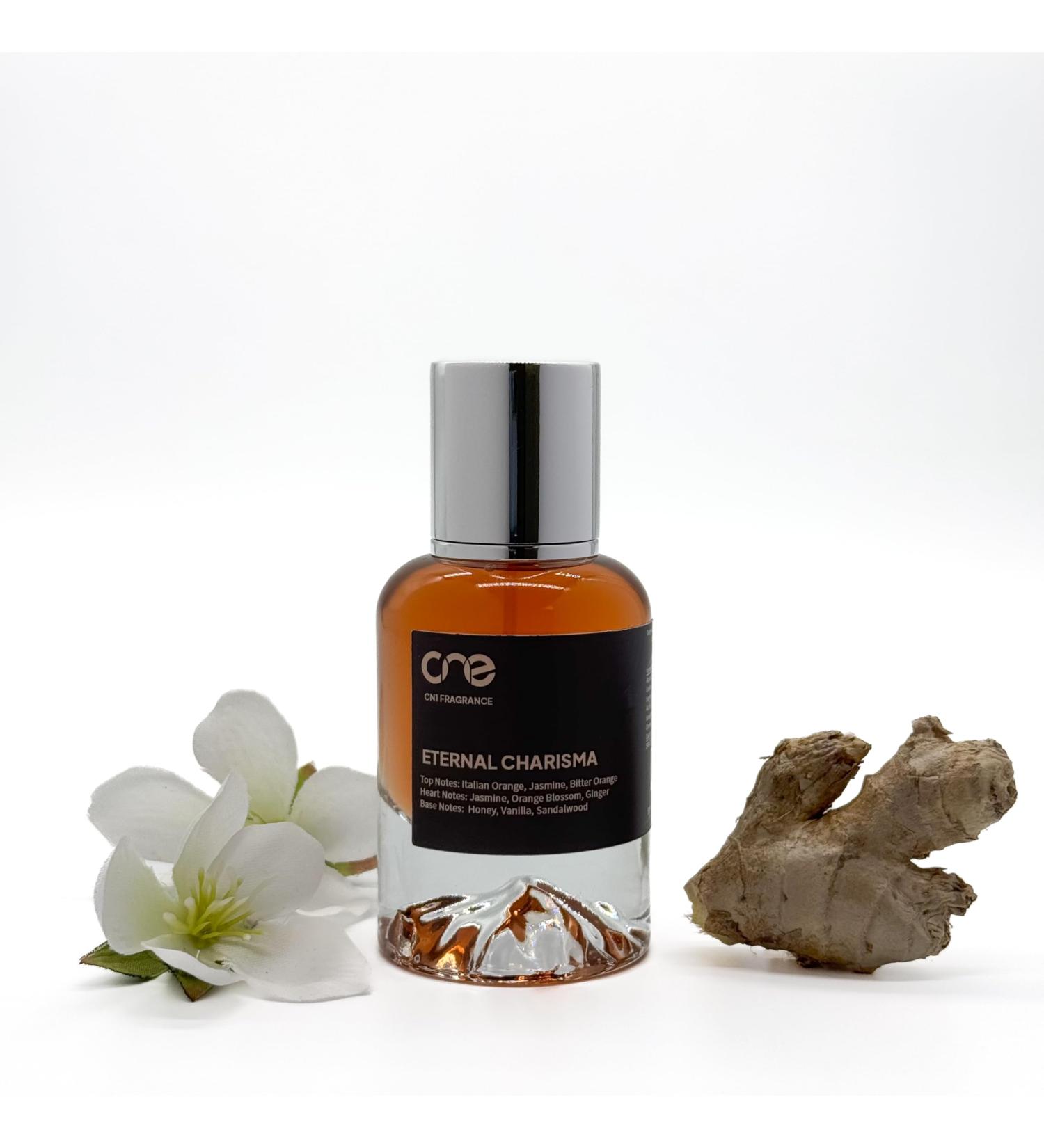 Eternal Charisma Eau de Parfum Compatible with Giorgio Armani's Armani Code Black Men Perfume Spray 50ml