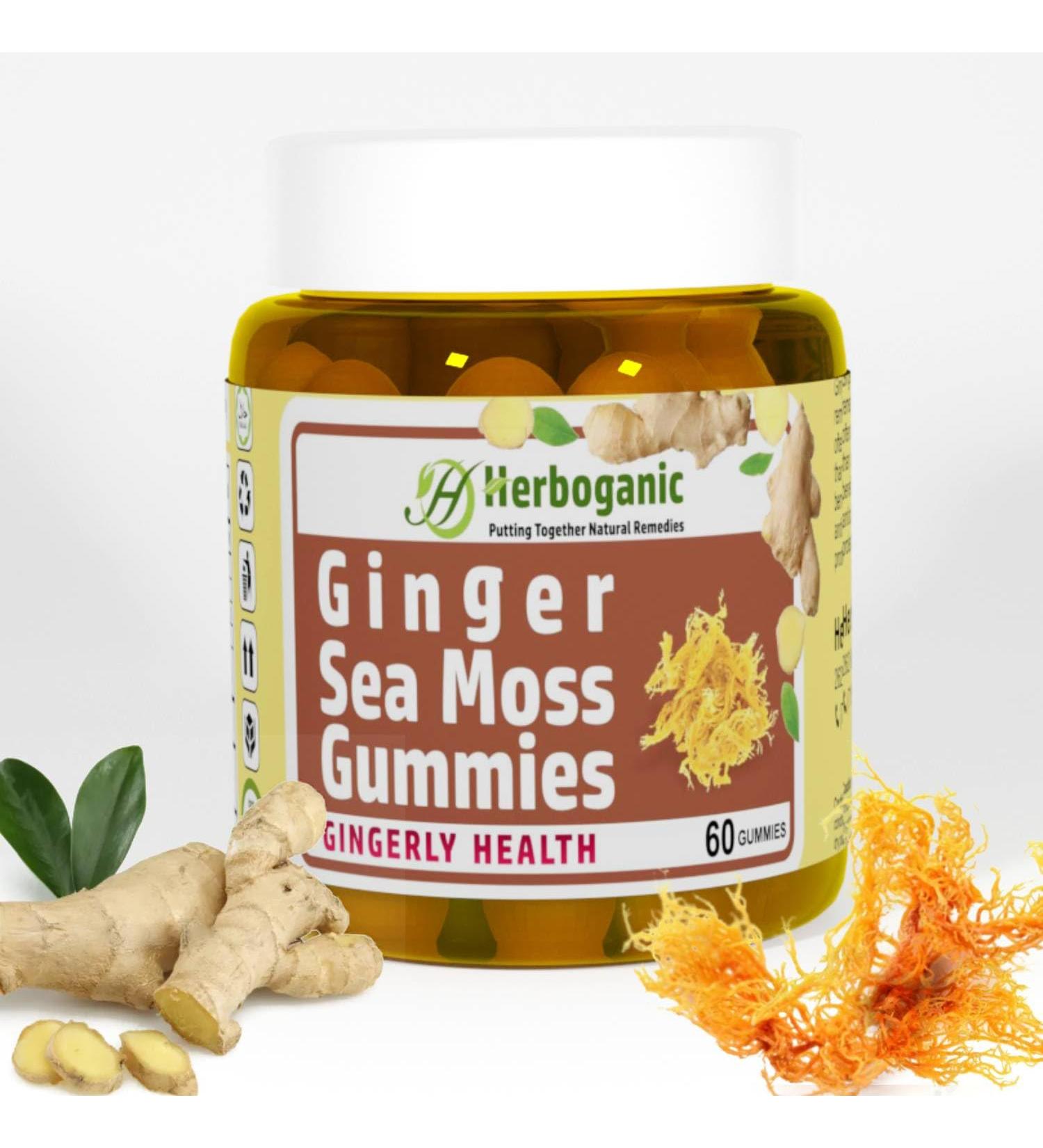 HERBOGANIC Ginger Sea Moss Gummies - Herbal Support for Immune & Digestive Health - Plant-Powered Gluten-Free & Vegan-Friendly - 60 Count Ginger 60 Count (Pack of 1) - Buy Online on GoSupps.com
