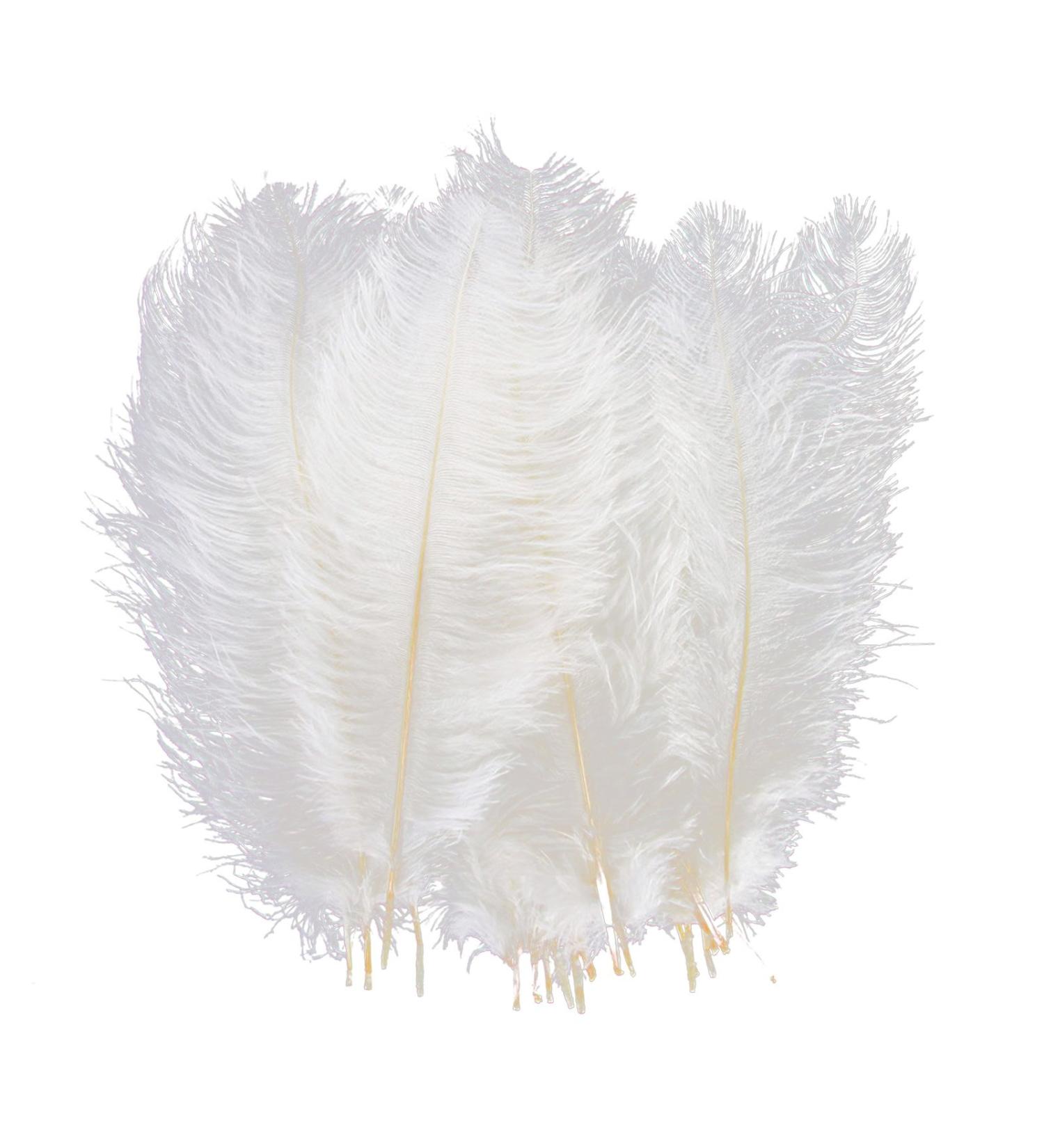 AWAYTR 10-12 inch Natural Ostrich Feathers - 10pcs White | Wedding Centerpieces, Home Decor, Flower Arrangement, Christmas DIY - Buy Online on GoSupps.com