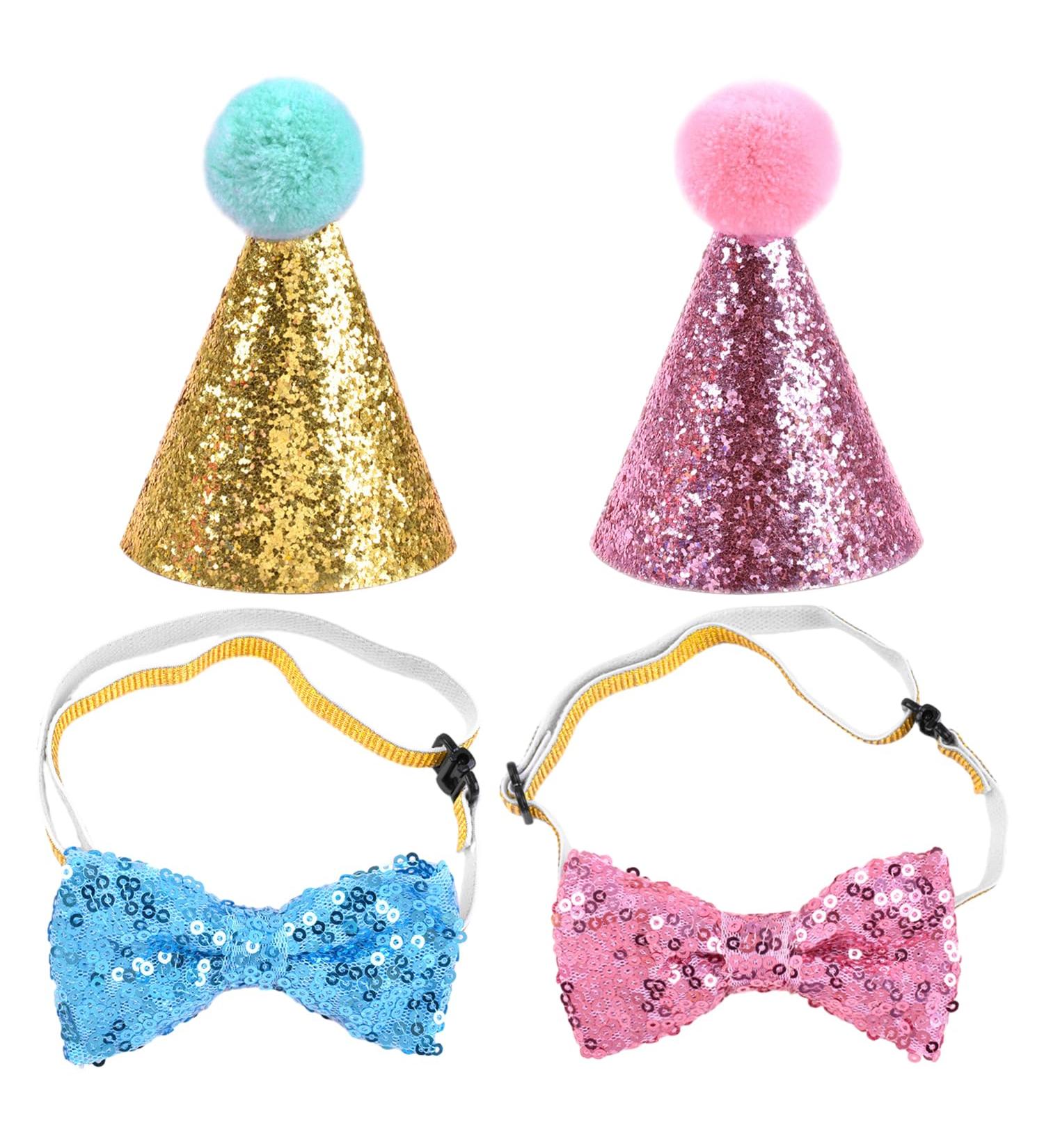 2 Piece Pet Birthday Hat Set - Party Accessories for Dogs - Perfect for Pet Parties & Celebrations - Buy Online on GoSupps.com