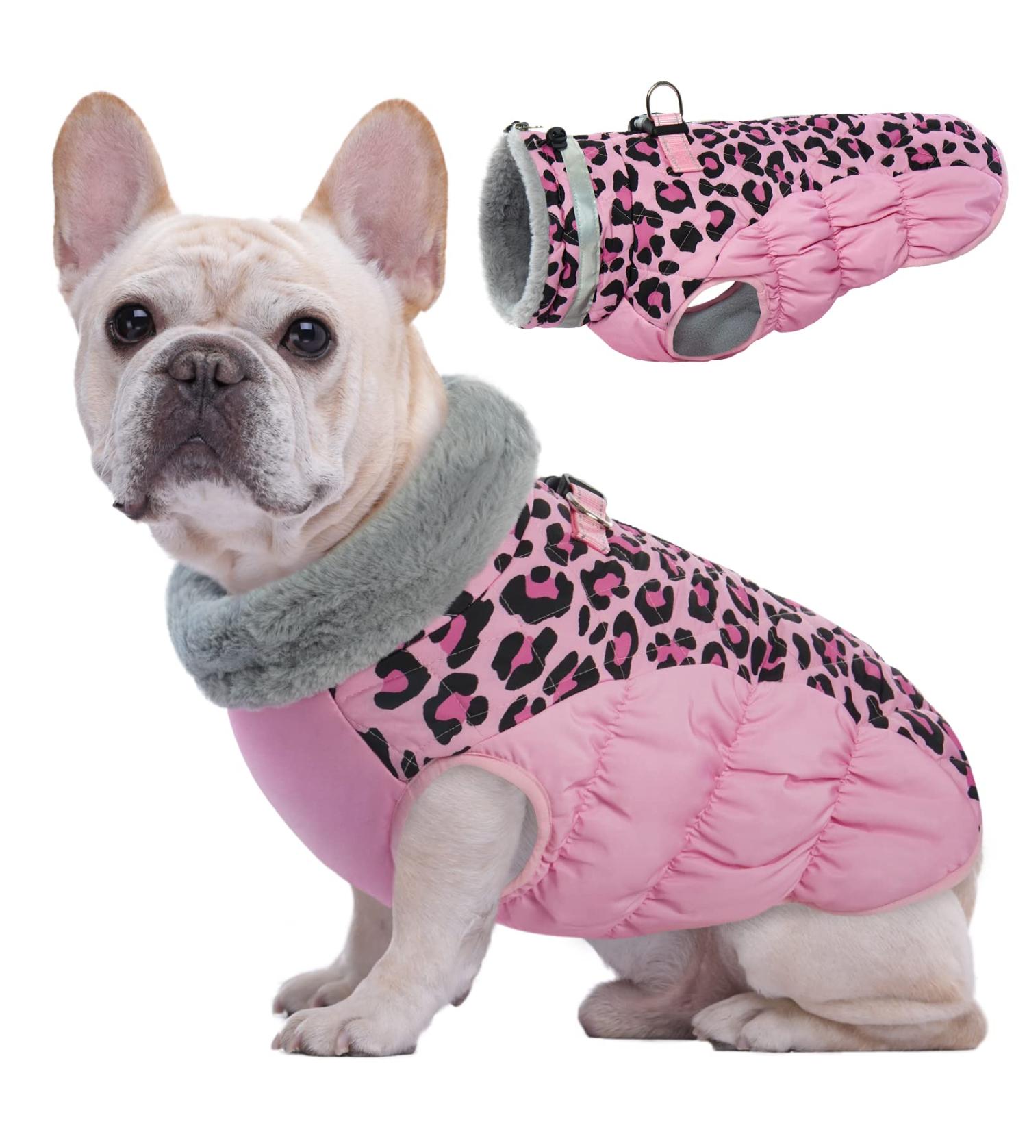 Kuoser Warm Dog Jacket | Reflective & Windproof Coat for Small & Large Dogs | Fashionable Winter Dog Coat in Pink XS - Buy Online on GoSupps.com