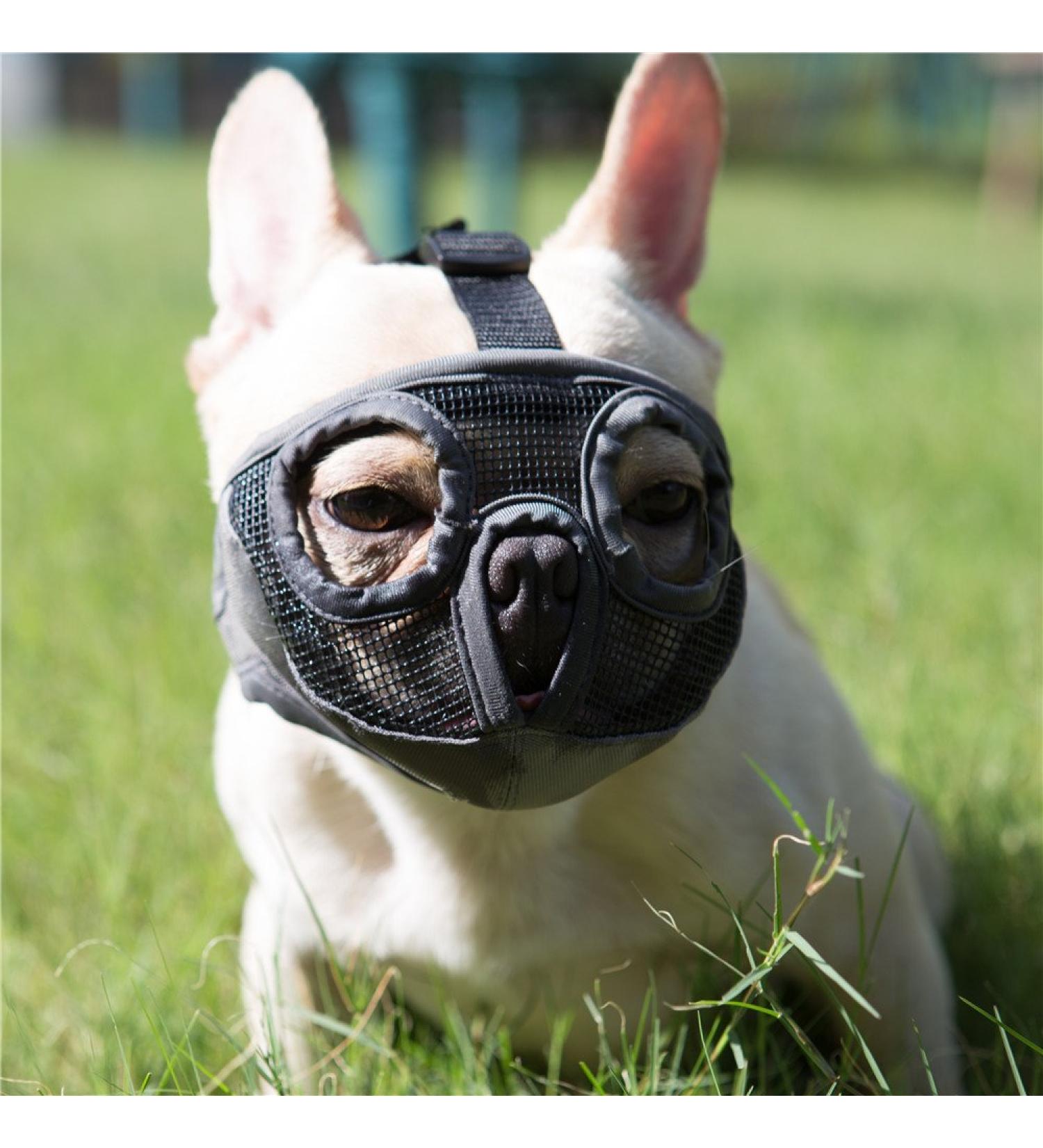 Jyhy Adjustable Muzzle for Flat-Nosed Dogs & Cats | Breathable Design for Bulldogs Pugs & More | XL Size (46-64cm) - Gray - Buy Online on GoSupps.com