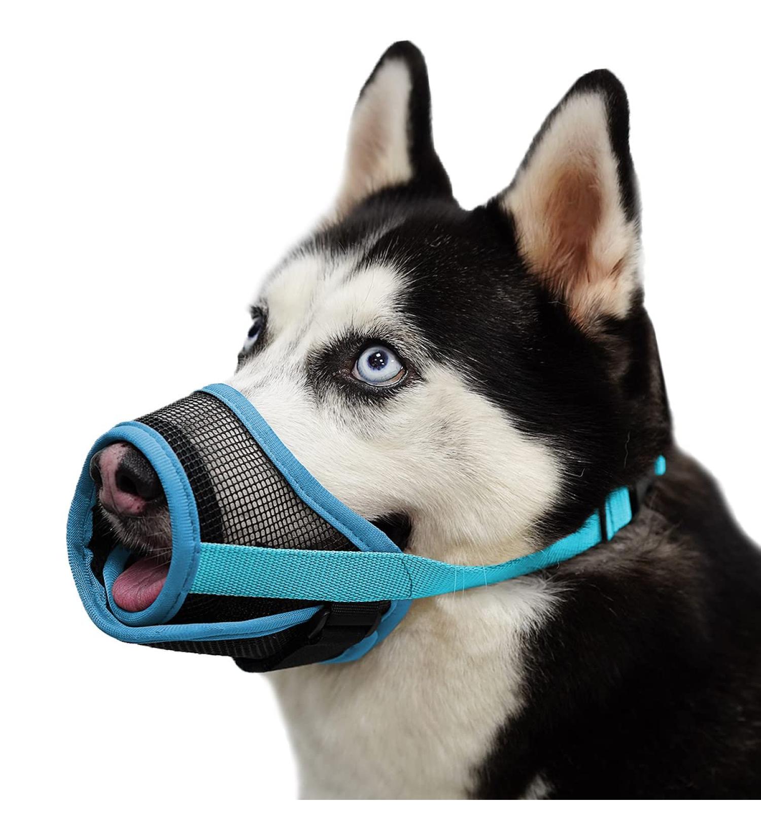 Mayerzon Adjustable Dog Muzzle - Breathable Airline Approved for Small to Large Dogs - Blue Large | Bite Bark & Chew Safe - Buy Online on GoSupps.com