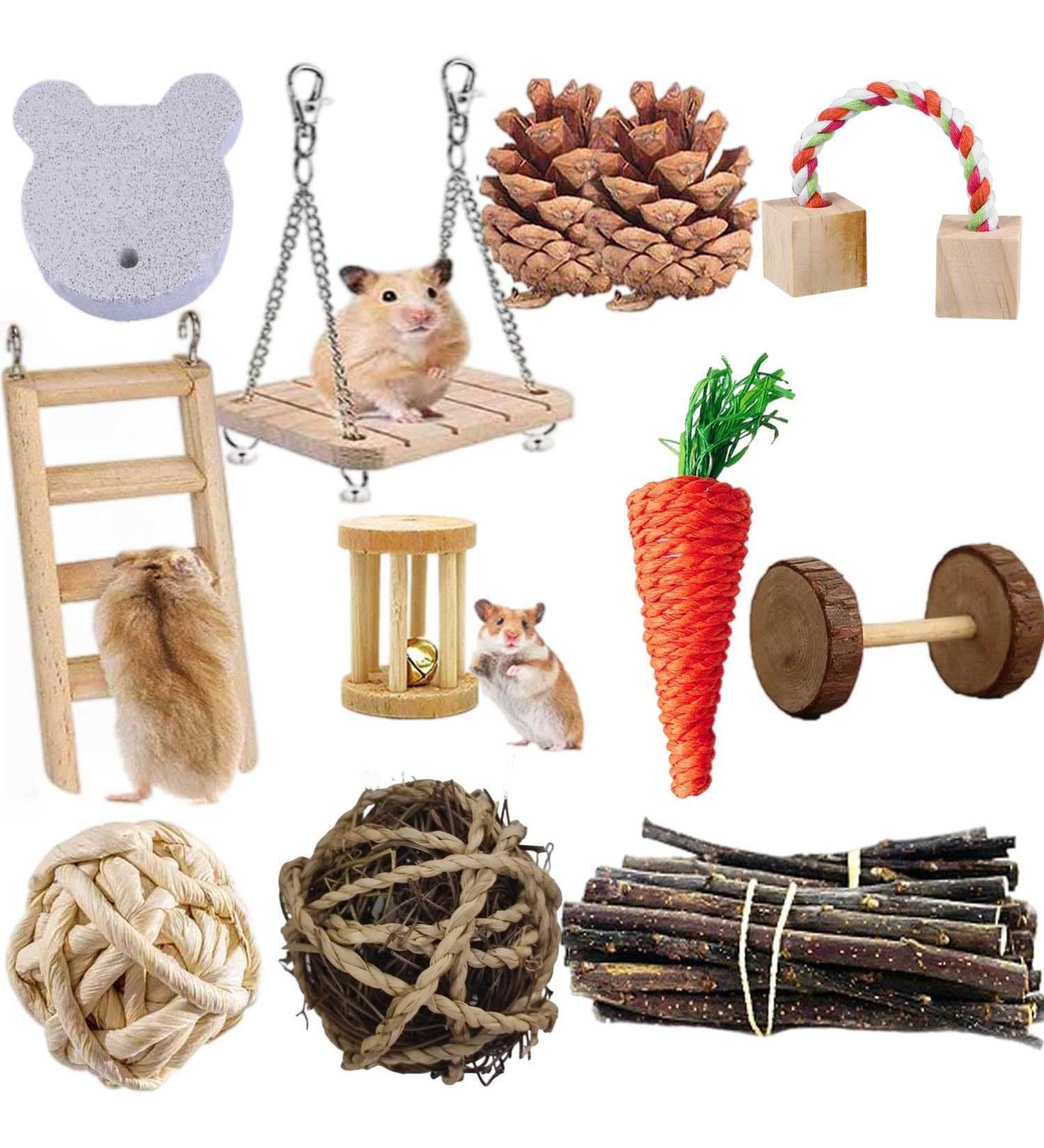 ACLUYSKA 21PCS Hamster Guinea Pig Toys | Small Animal Activity Chew Accessories | Apple Wood Ladder Bell Roller | Teeth Care for Dwarf Hamsters, Rats, Chinchillas, Gerbils, Bunnies - Buy Online on GoSupps.com